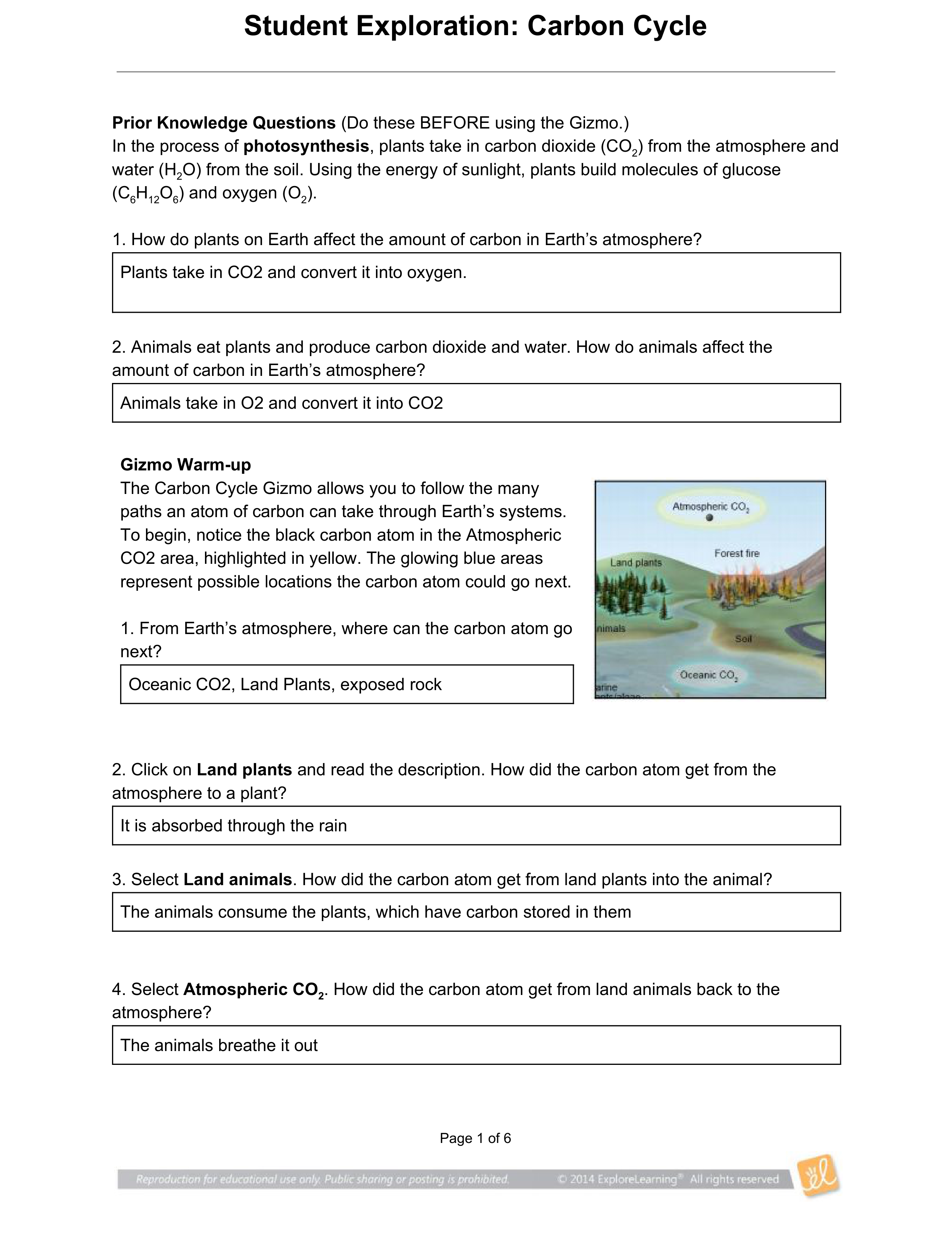 03.15 Carbon Cycle (Gizmos) - Bio.pdf_d1te7pkhwzn_page1