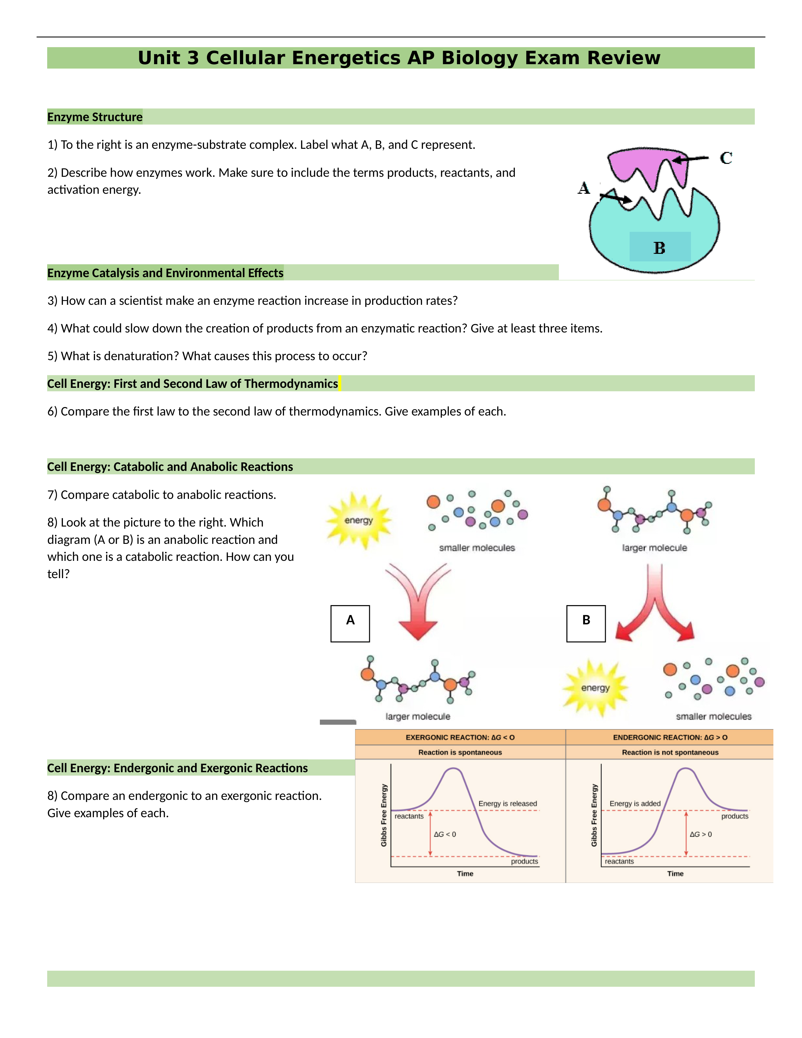 Unit 3 Cellular Energetics AP Bio Exam Review SE (1).docx_d1x7llyg3mq_page1