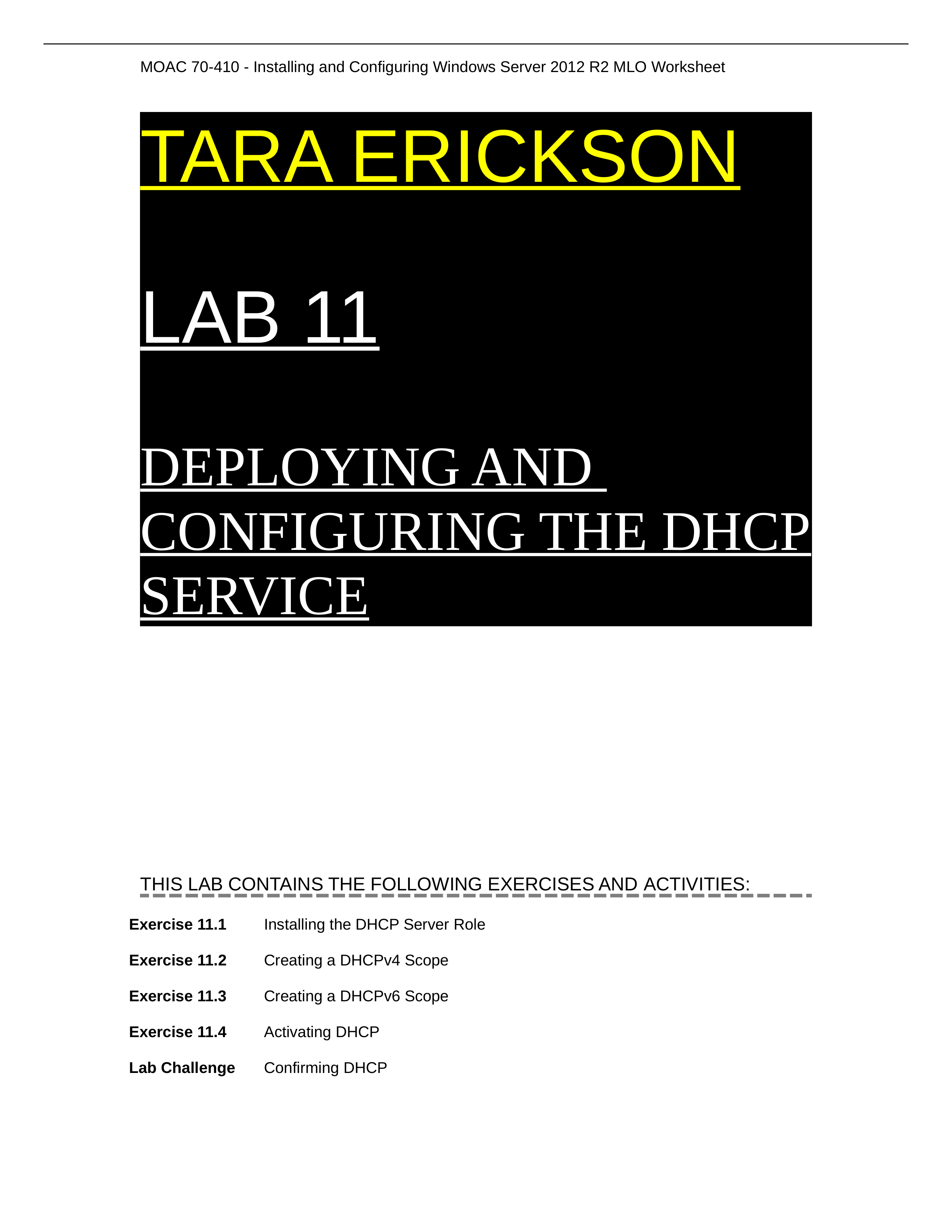 Worksheet Lab 11_d210ivcn0wz_page1