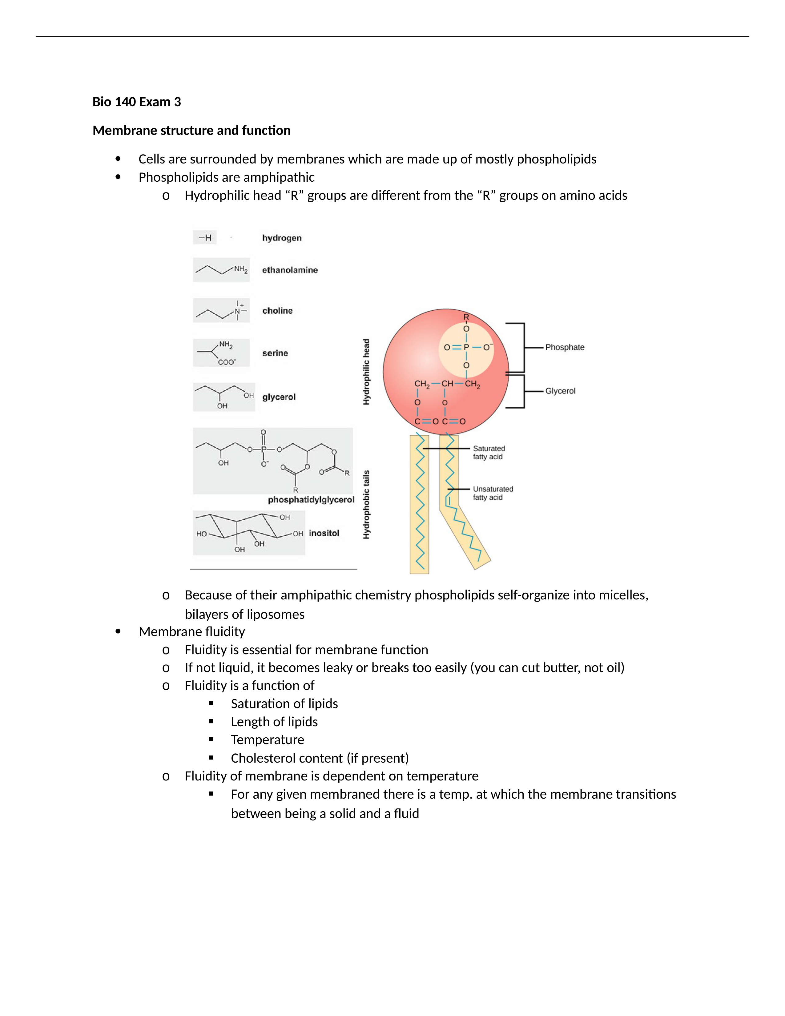 Bio 140 Exam 3.docx_d28yj6j7qnc_page1