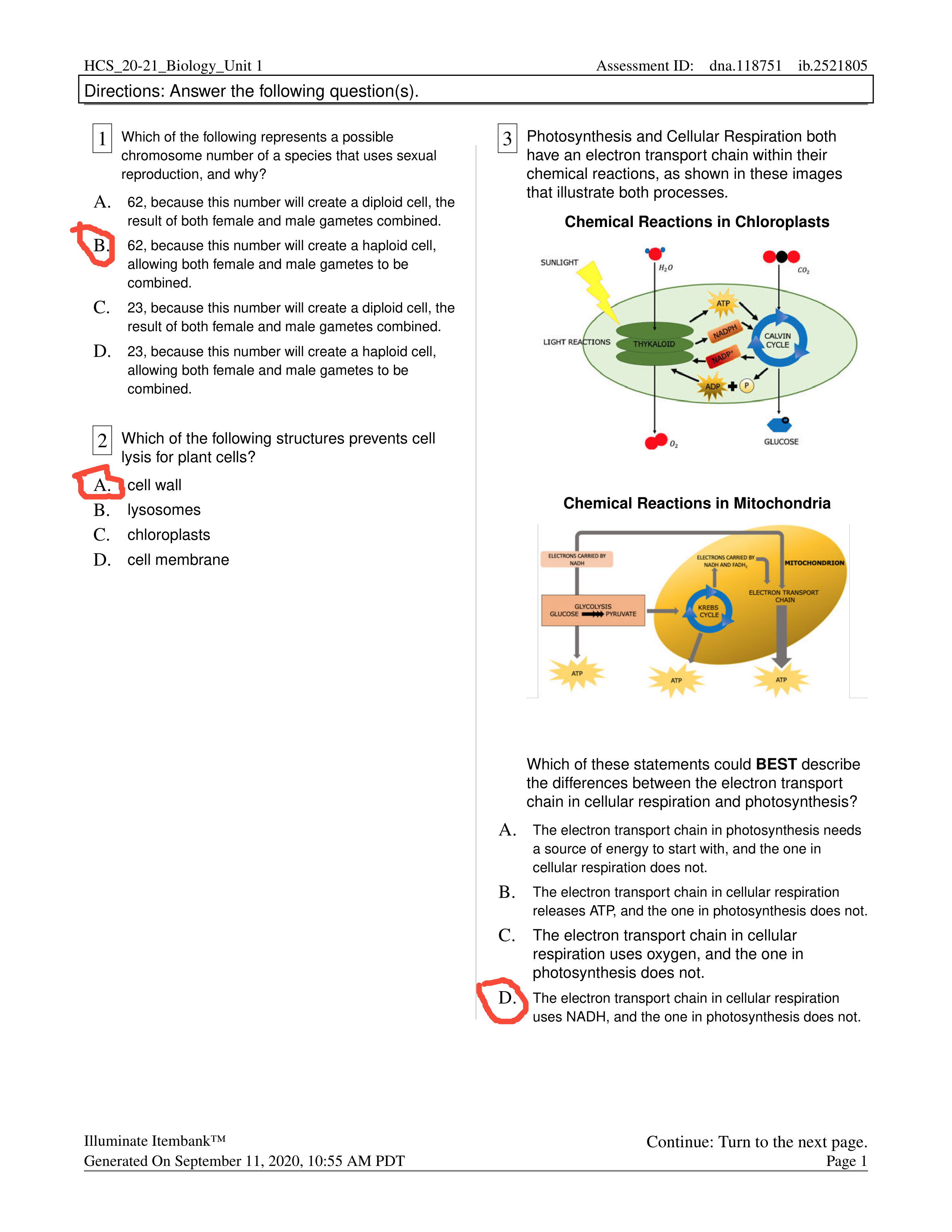 HCS_UnitCells.pdf_d2c5d9qu3wz_page1