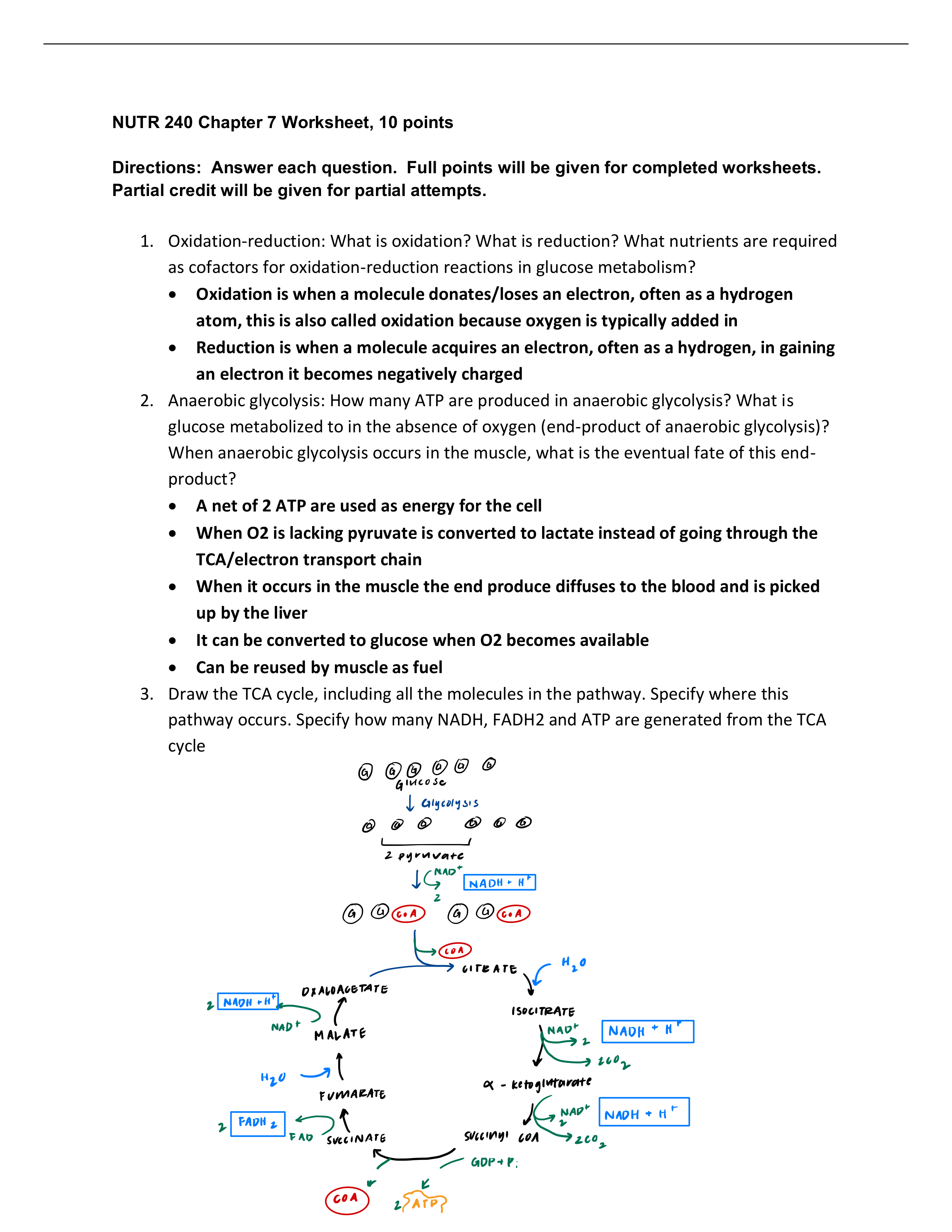 NUTR 240_Chapter 7_Worksheet.pdf_d2d8fkwrbk3_page1