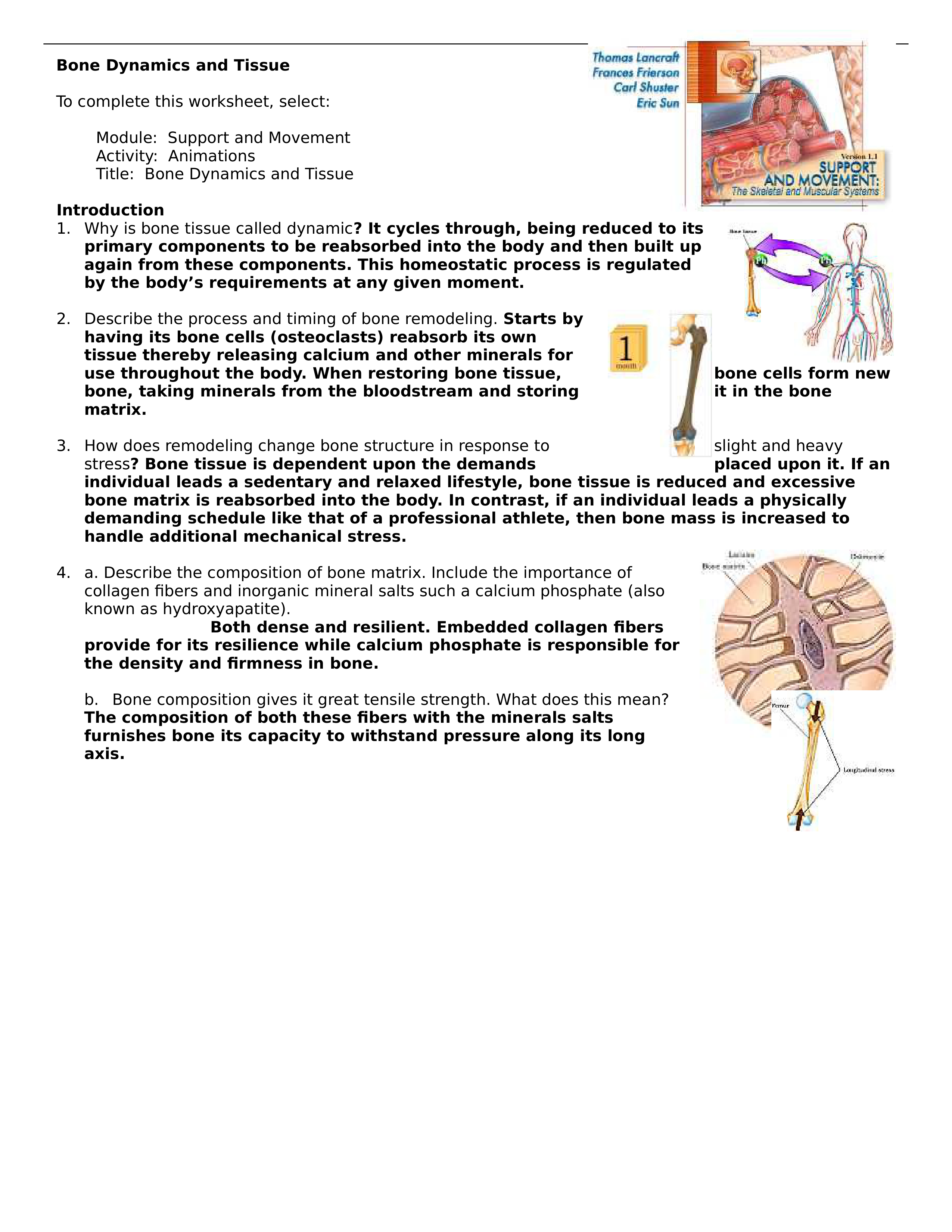 Chapter 6 Adv. Phy._d2iz04wrnrj_page1