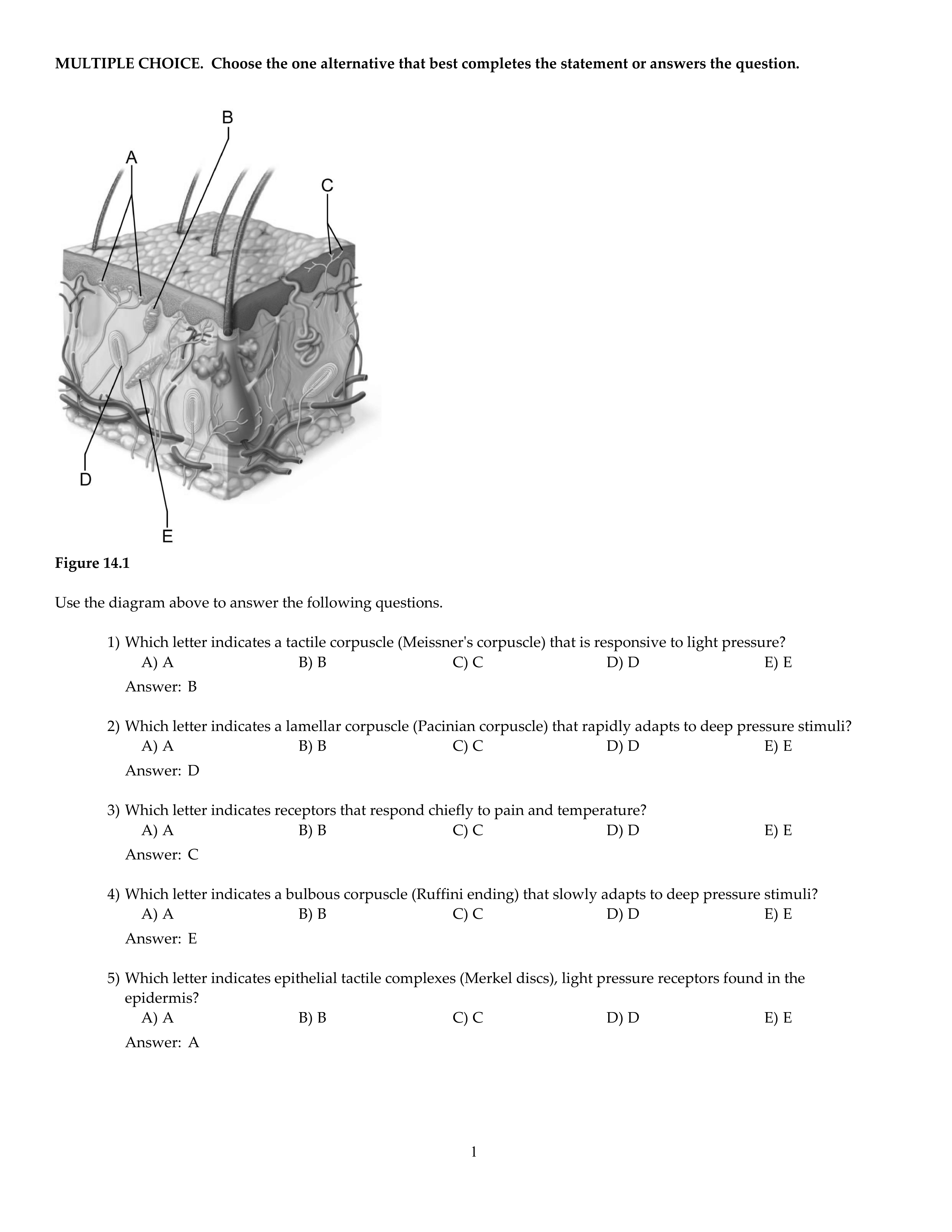 CH14.pdf_d2zstmz2jim_page1