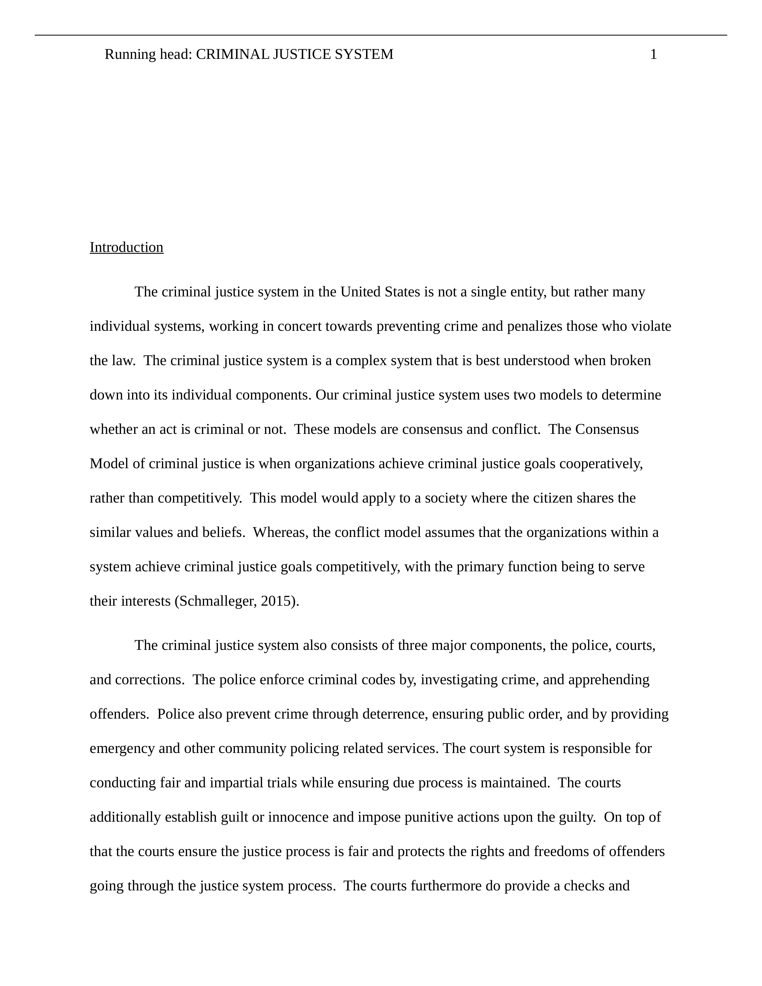 CRIMINAL JUSTICE SYSTEM.docx_d3ic2m3flly_page1