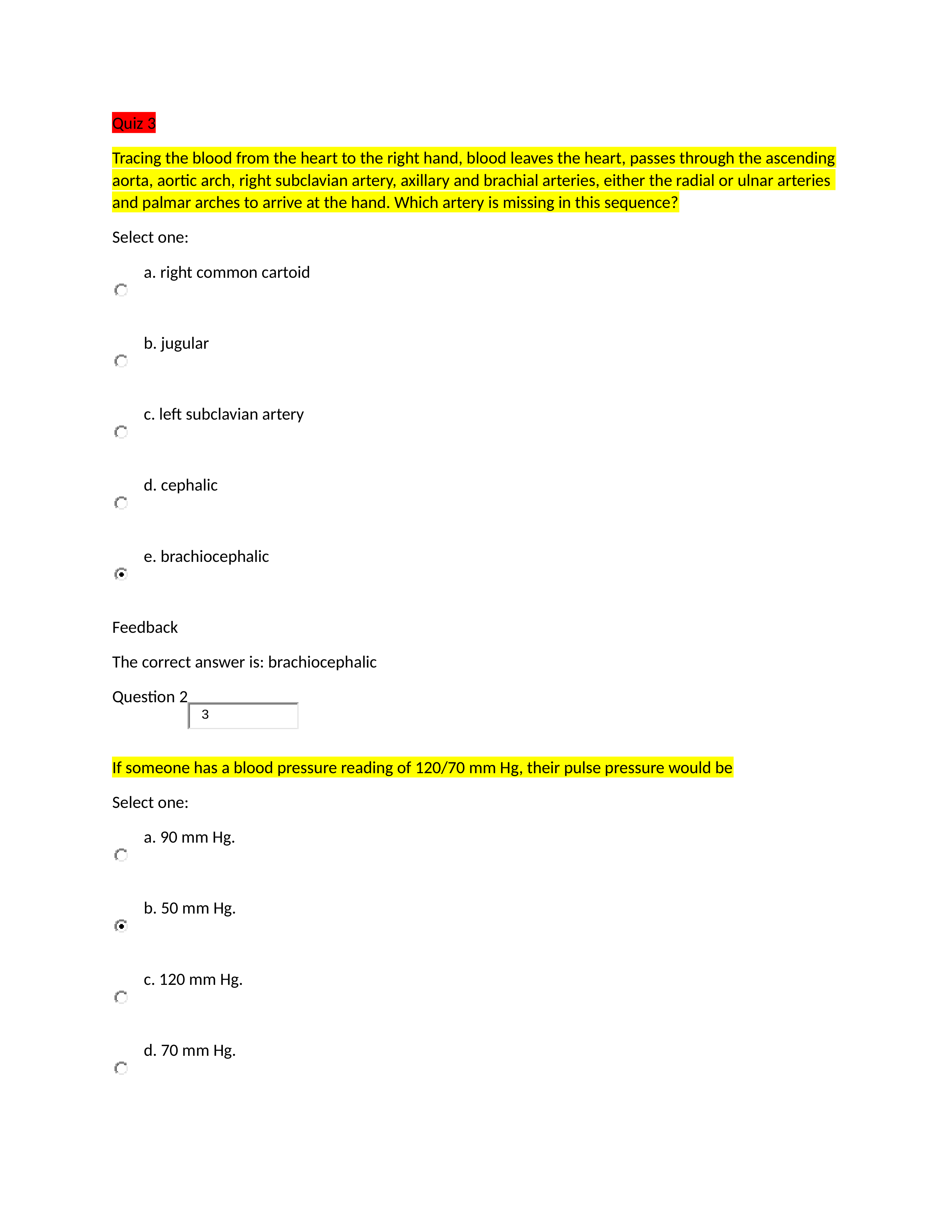 anat quiz 3-5.docx_d3v72sd6pws_page1