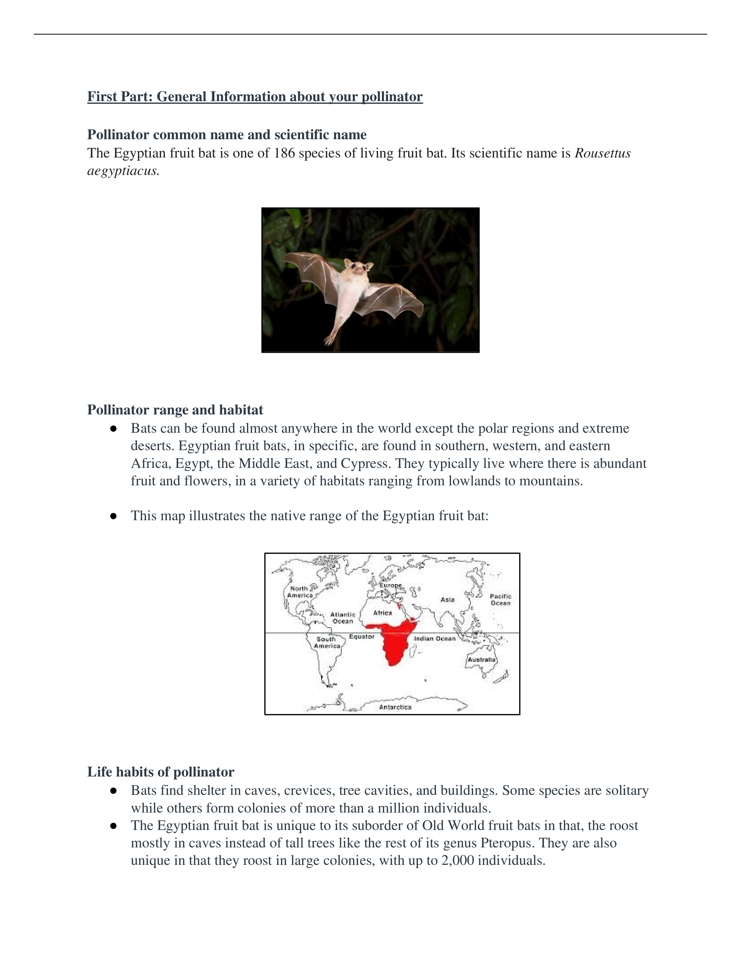 1A Baobab Pollinators.docx_d3wl3kp8yh2_page1