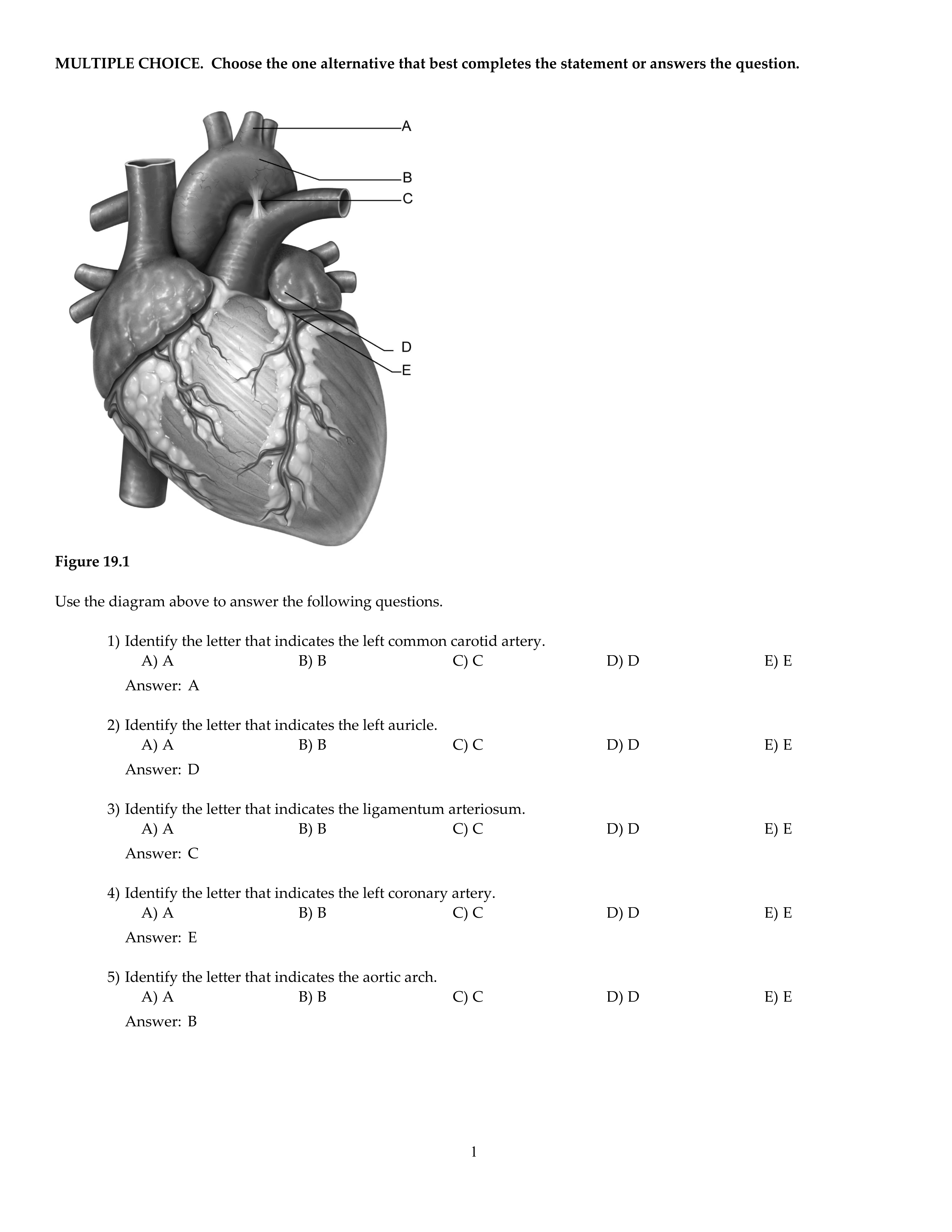 CH19.pdf_d3xdtl5cln4_page1