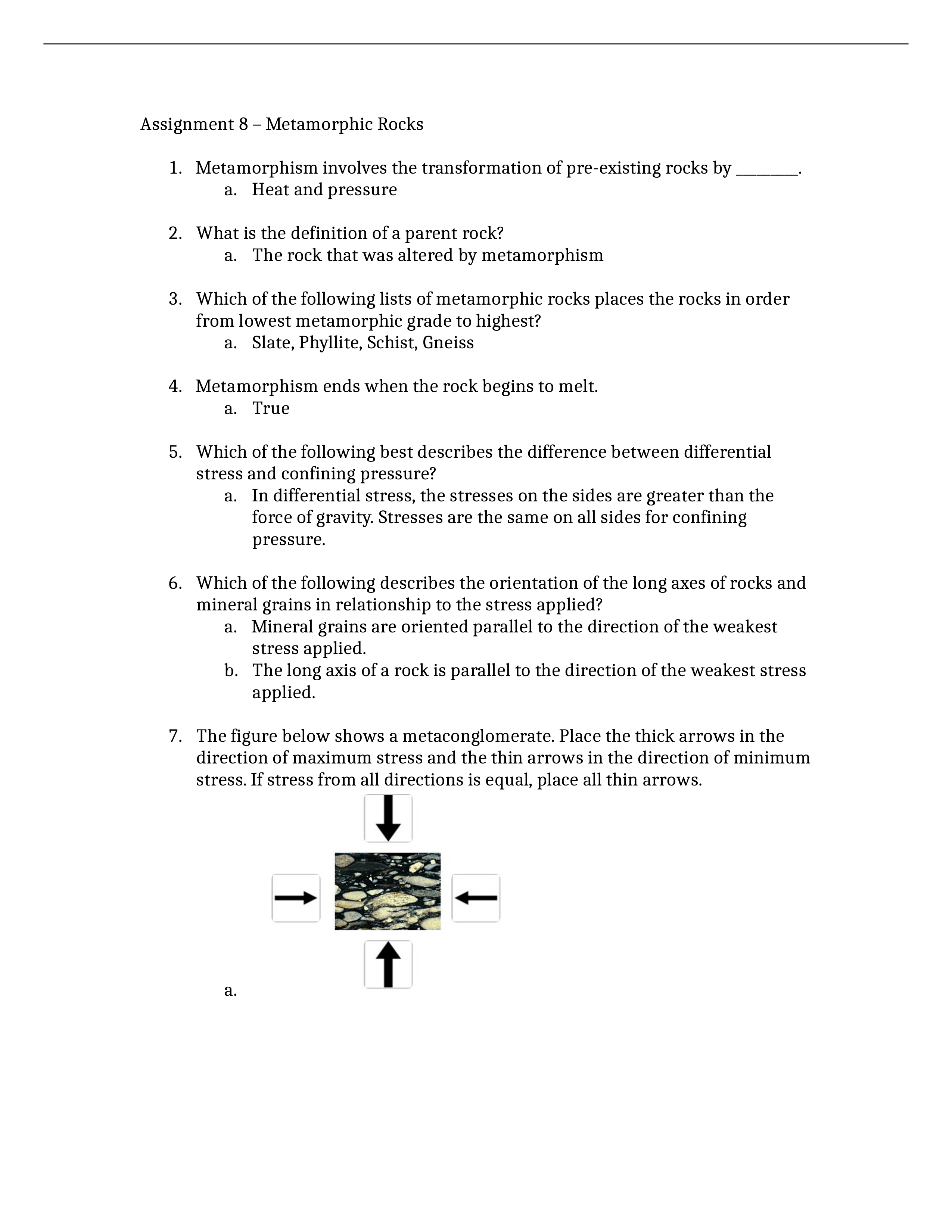 Assignment 8 - Metamorphic Rocks_d40u3ca4or7_page1