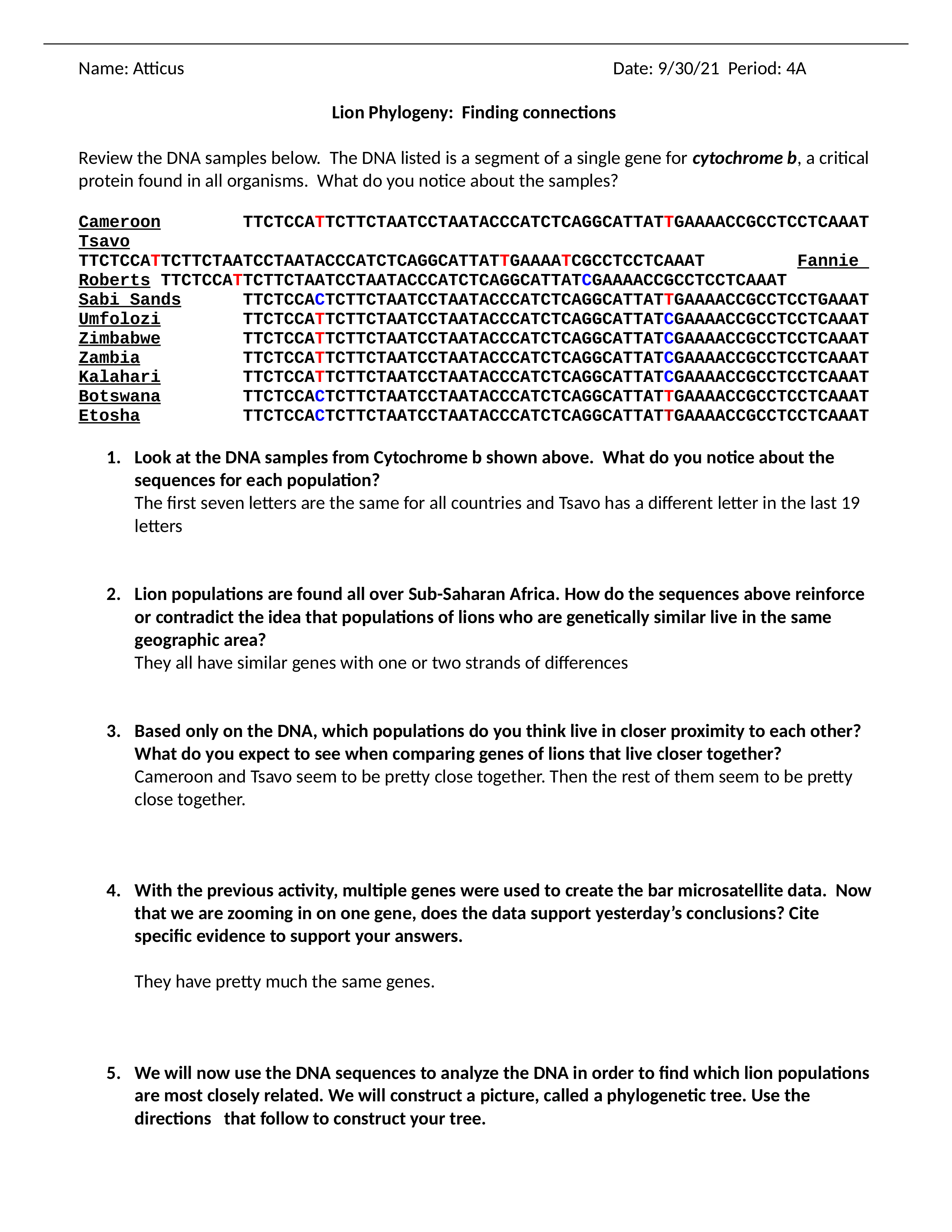 Copy of Lion Phylogeny Activity Cytochrome b.docx_d44me963q6w_page1