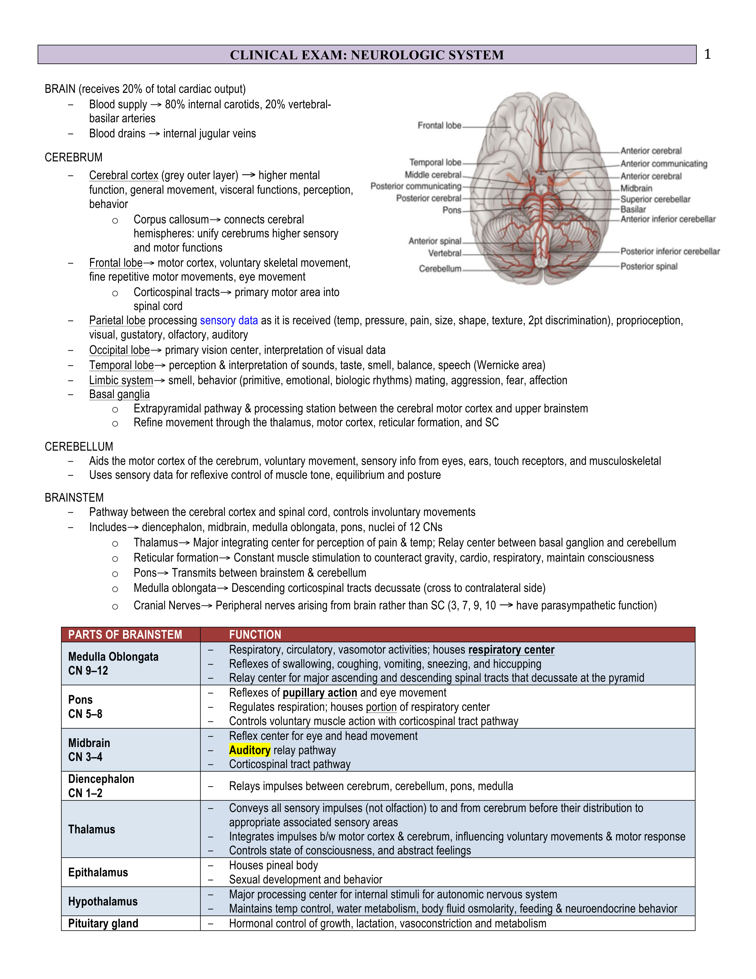 CE - 22 - Neuro - BL_d49ygqffjnr_page1