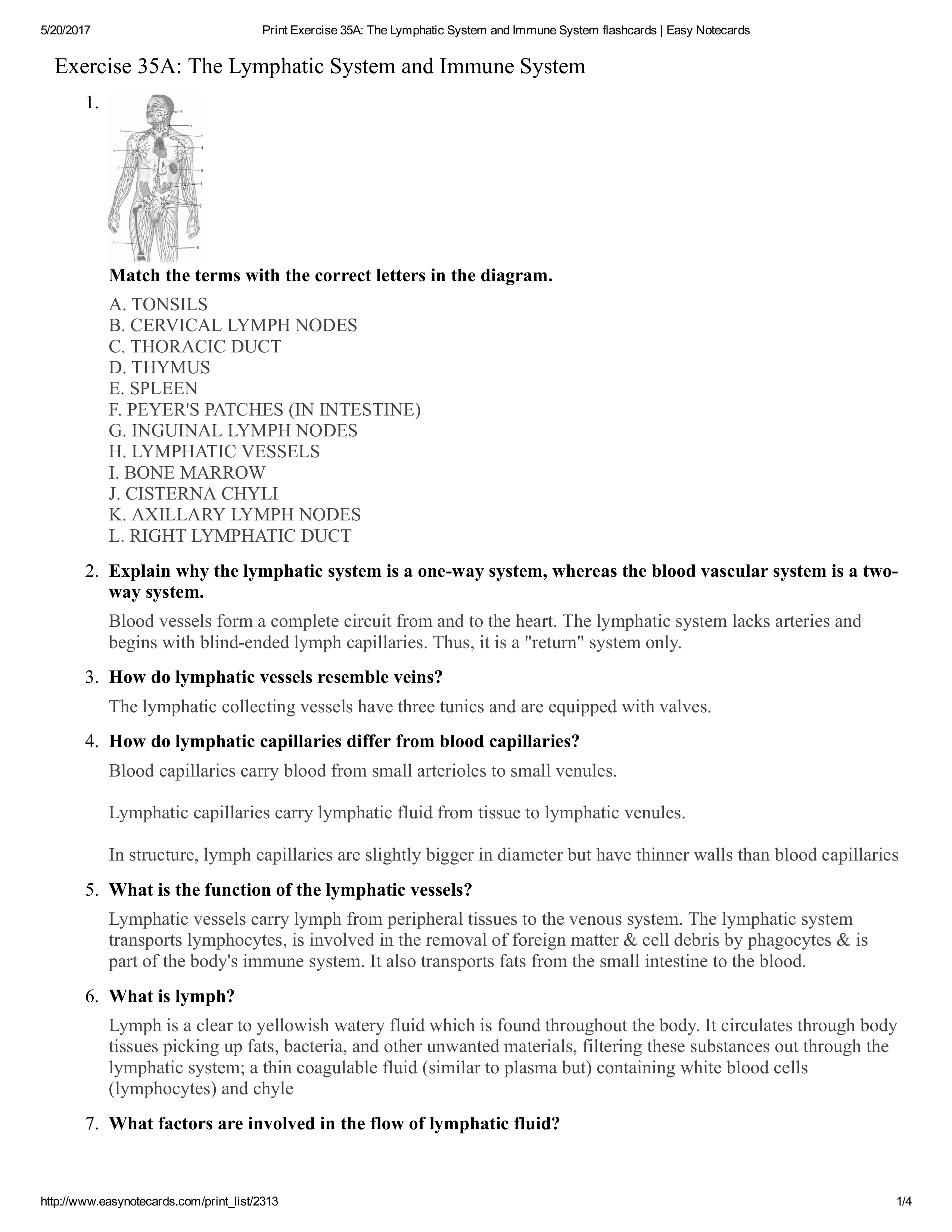 Print Exercise 35A_ The Lymphatic System and Immune System flashcards _ Easy Notecards.pdf_d4nv6rr7npc_page1