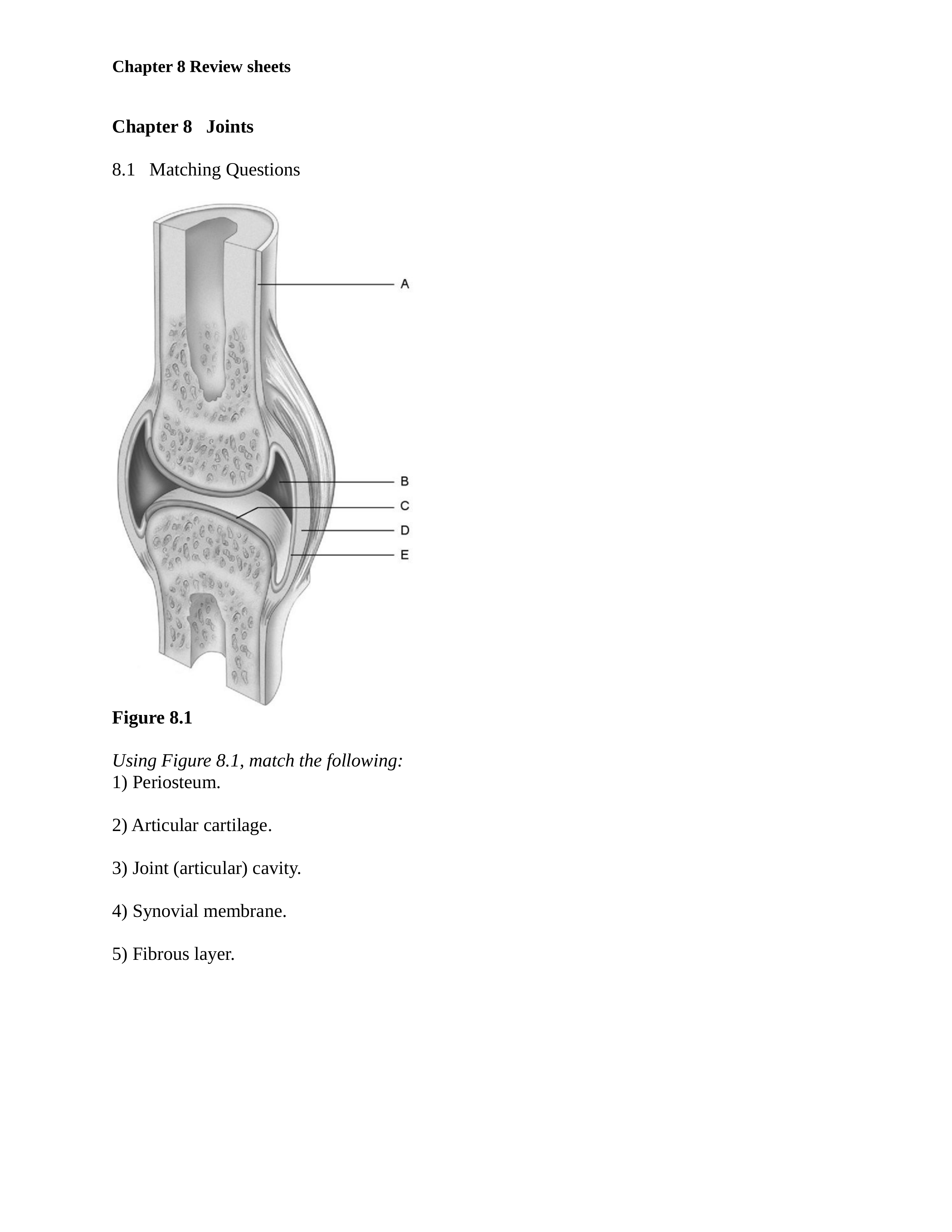 ch_08_worksheets_d4u9ejm5u23_page1