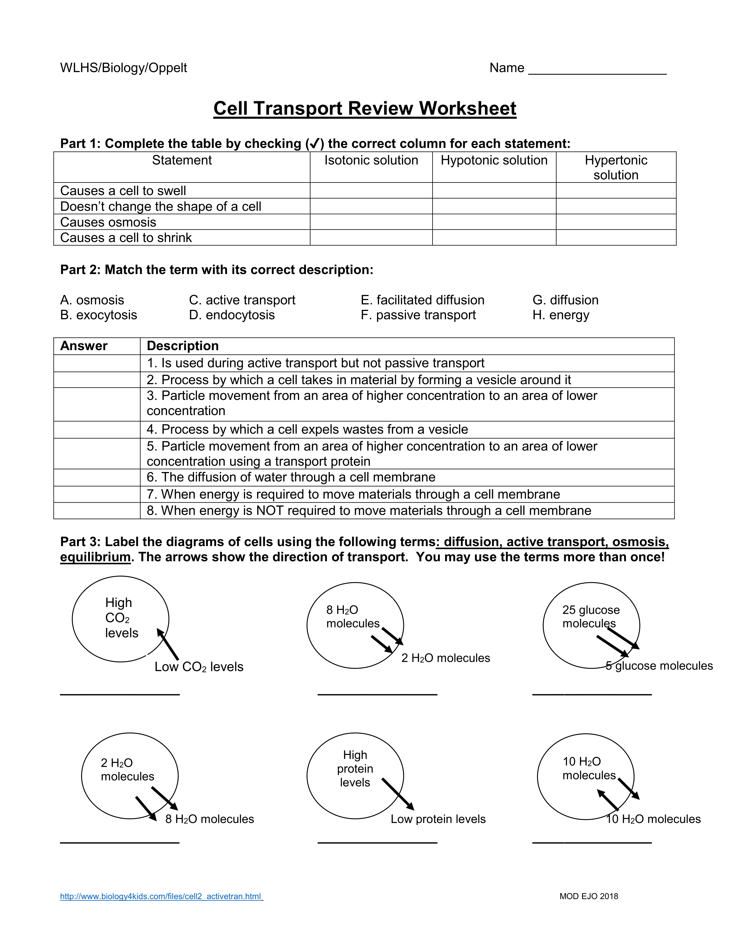 HANDOUT - Cell Transport Review Worksheet.pdf_d4unsqvznax_page1