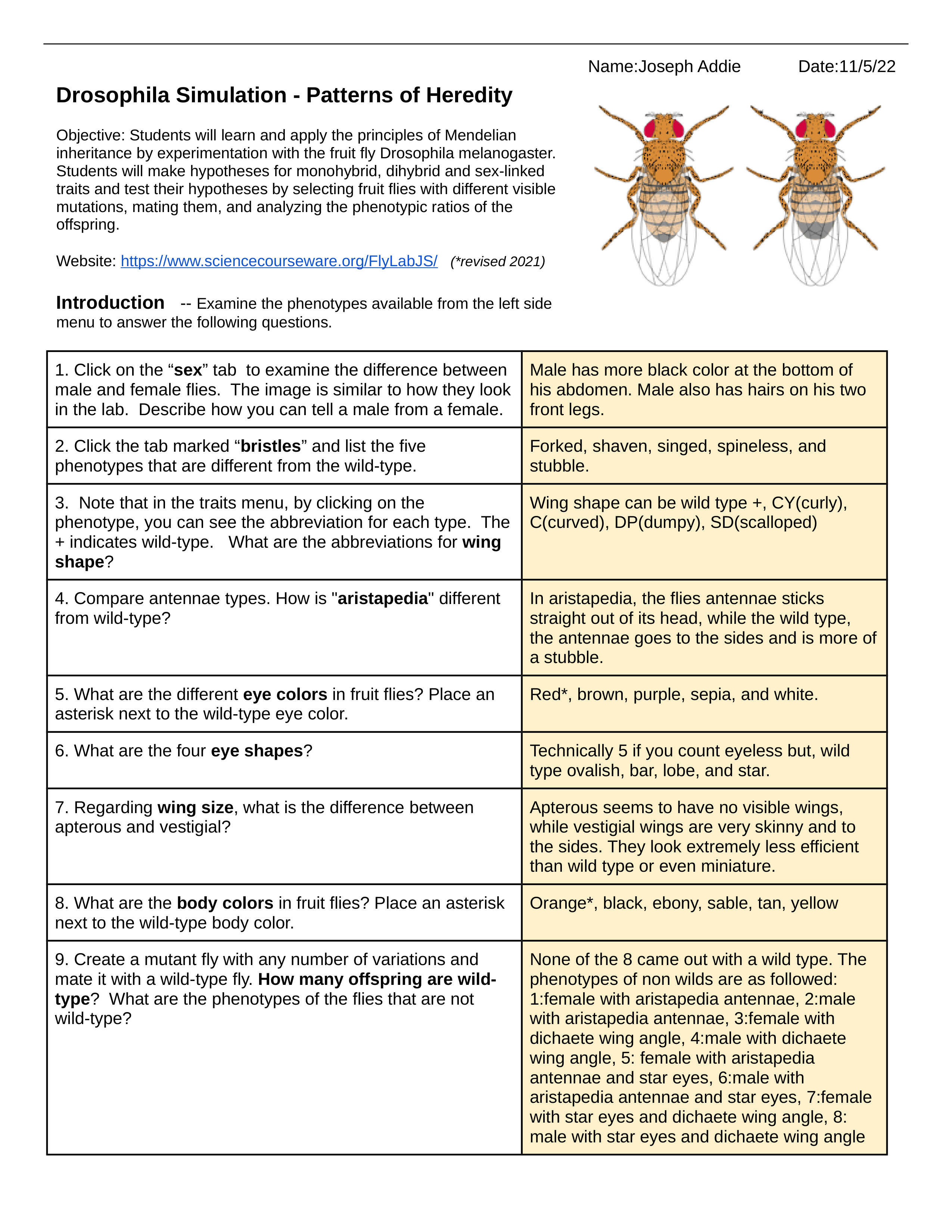 Investigation_  Drosophila Simulation Full (R).docx_d4xwa4i58si_page1