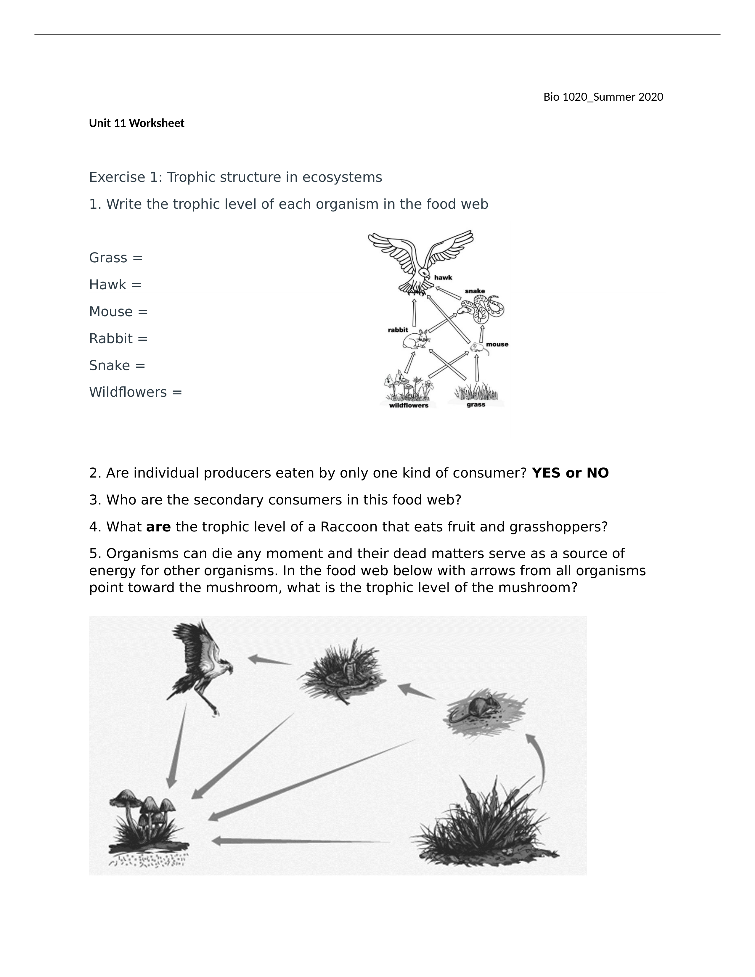 Unit 11_worksheet.docx_d50iyw73okl_page1