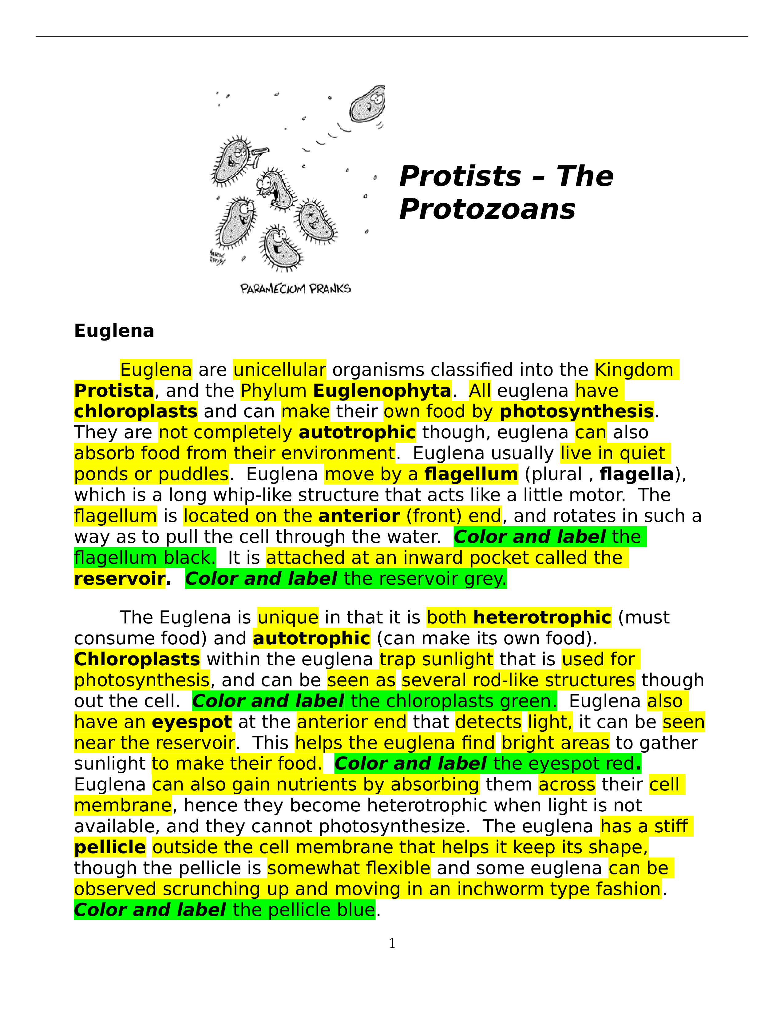 Protist Worksheet.doc_d50kjrsmxc4_page1