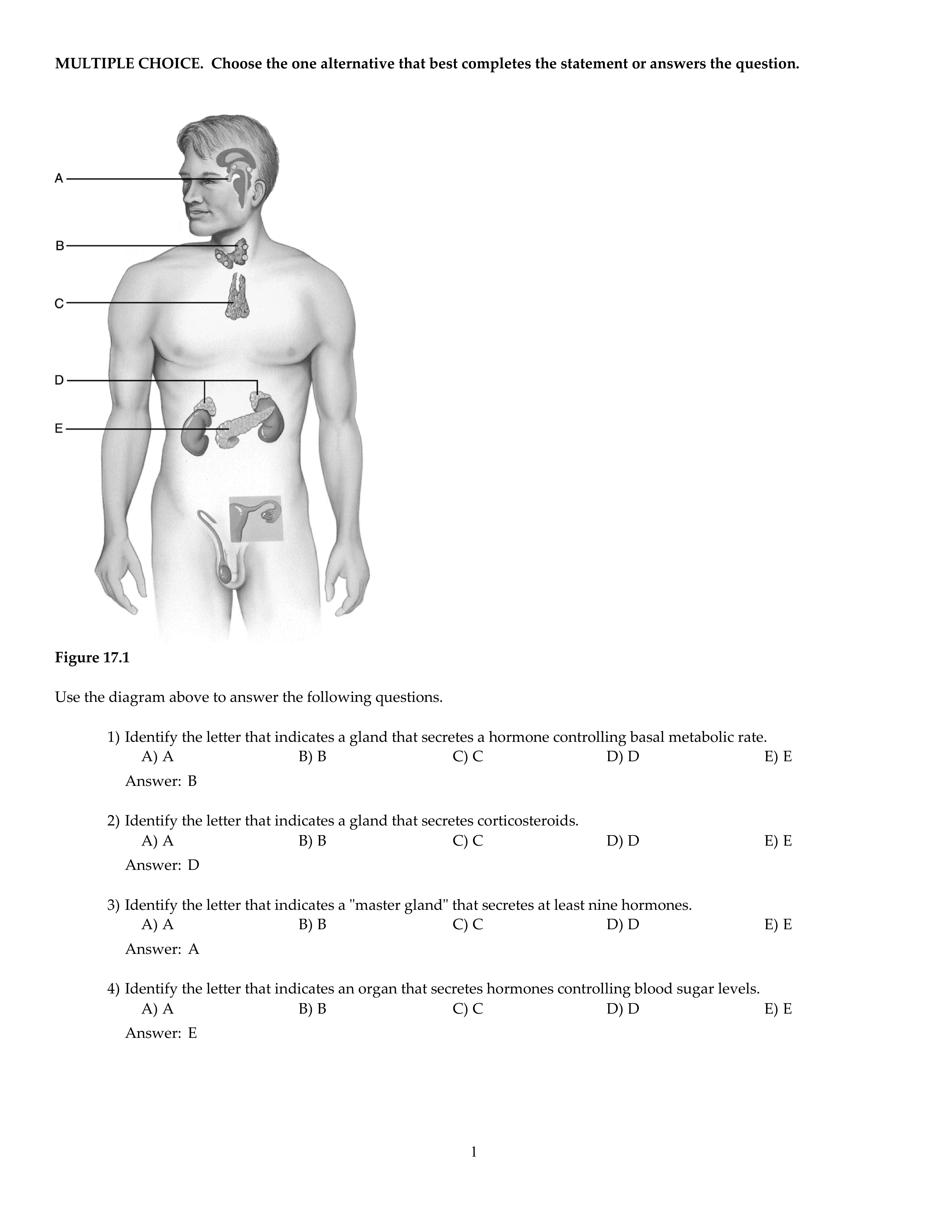 CH17.pdf_d50yf31zg1v_page1