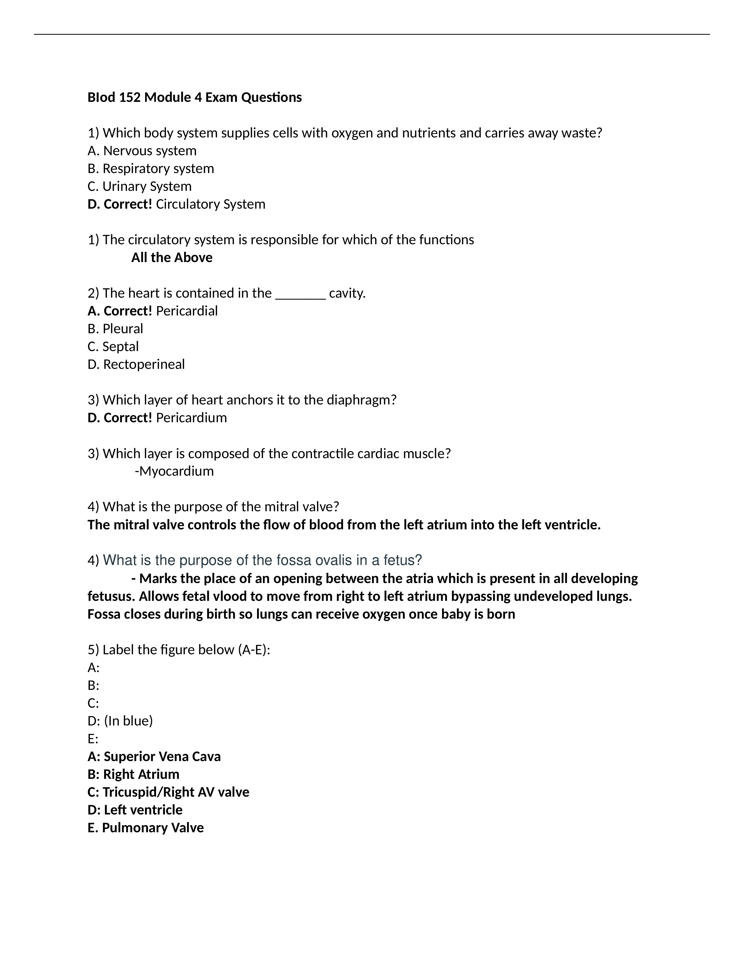 BIod 152 Module 4 Exam Questions.docx_d5g5105qdjy_page1