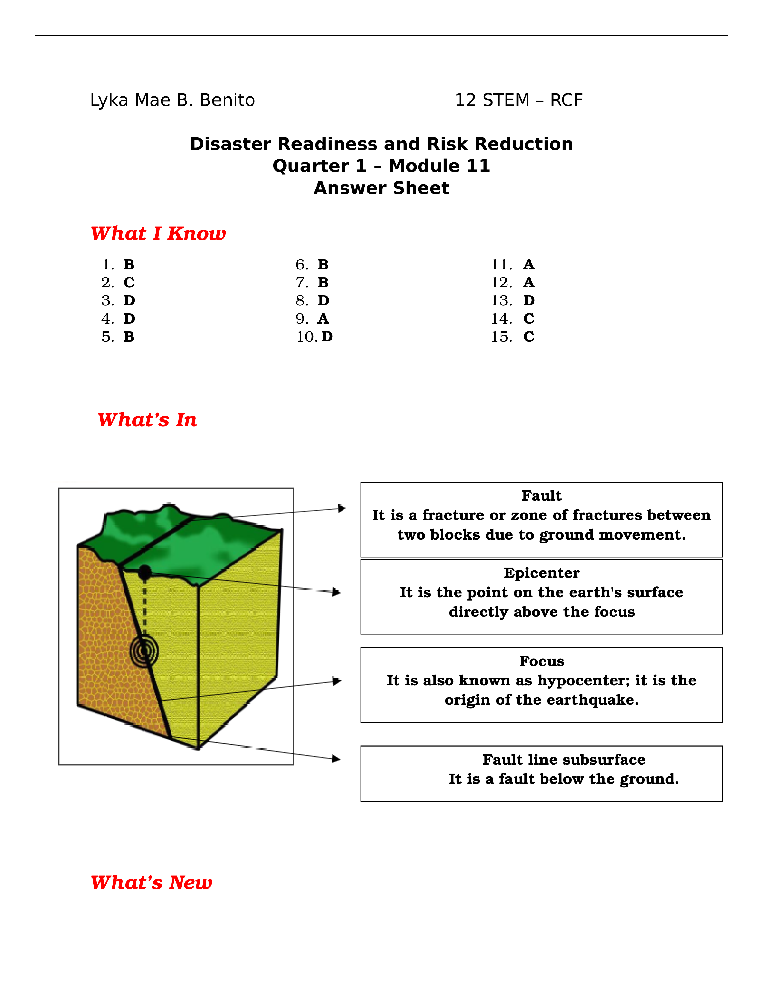 DRRR (Module 11) - Lyka Mae B. Benito.docx_d5thxrulfh7_page1