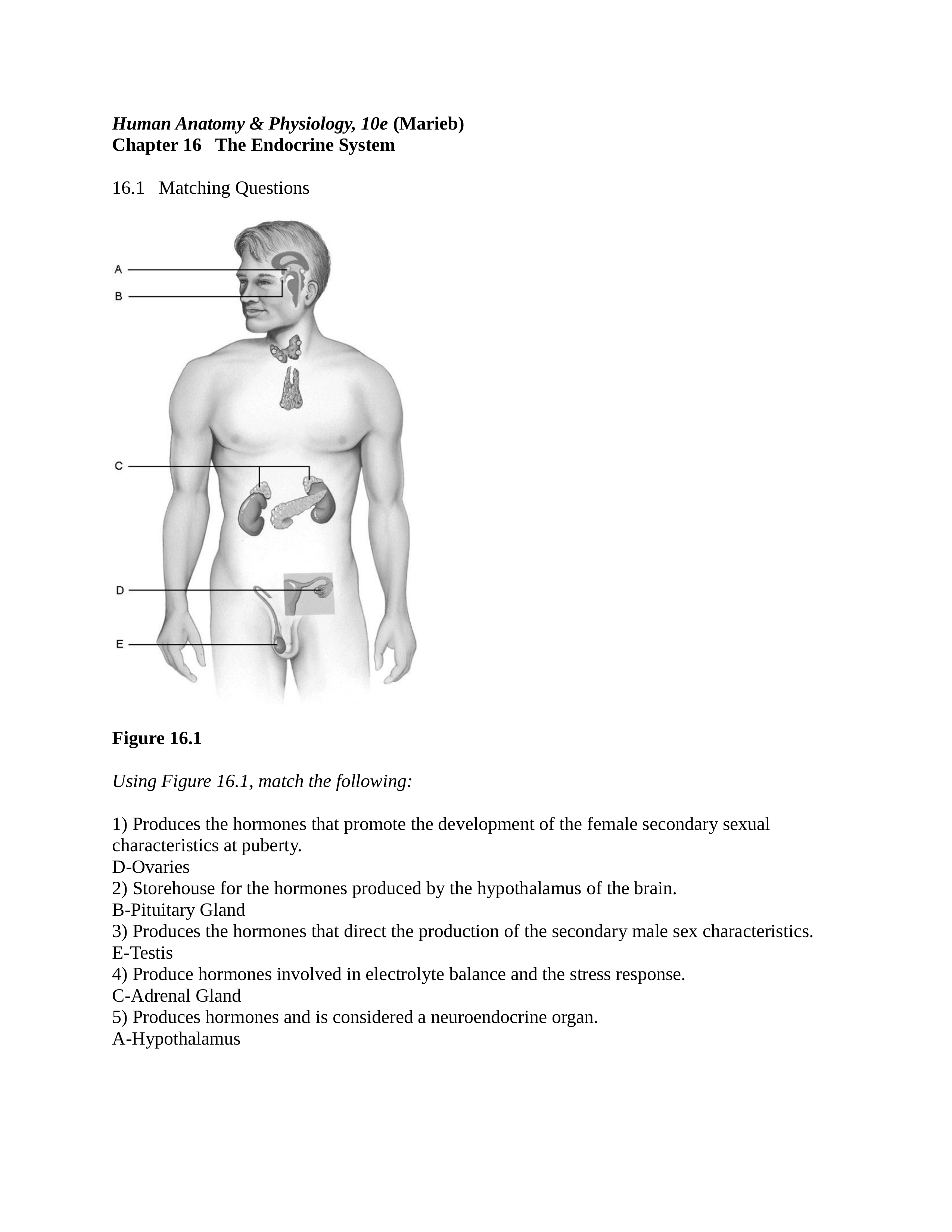 Chapter 16_worksheet (Answer Key).docx_d5x2piydnfh_page1