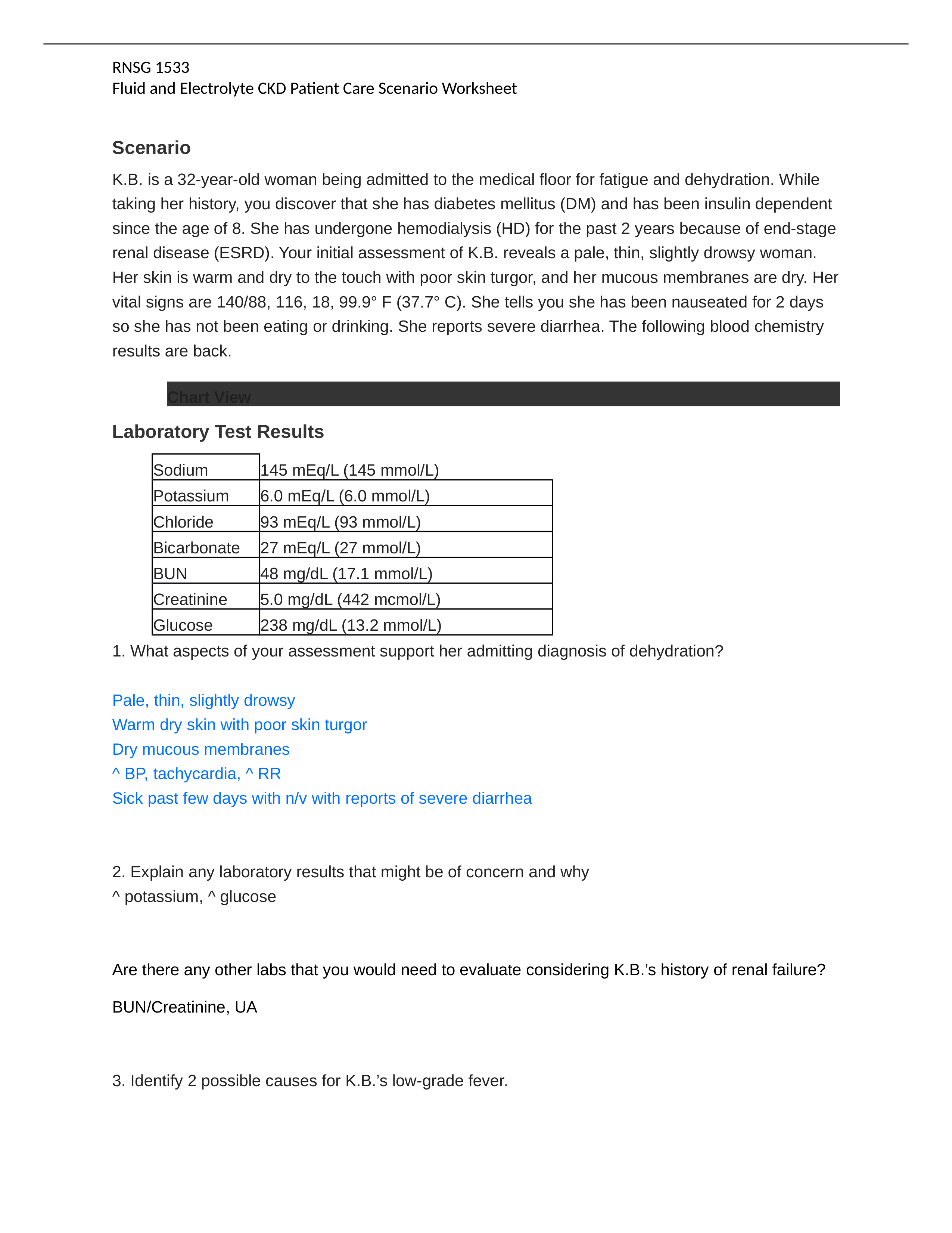 CKD Patient Care Scenario Worksheet .docx_d6cew7dtvx7_page1