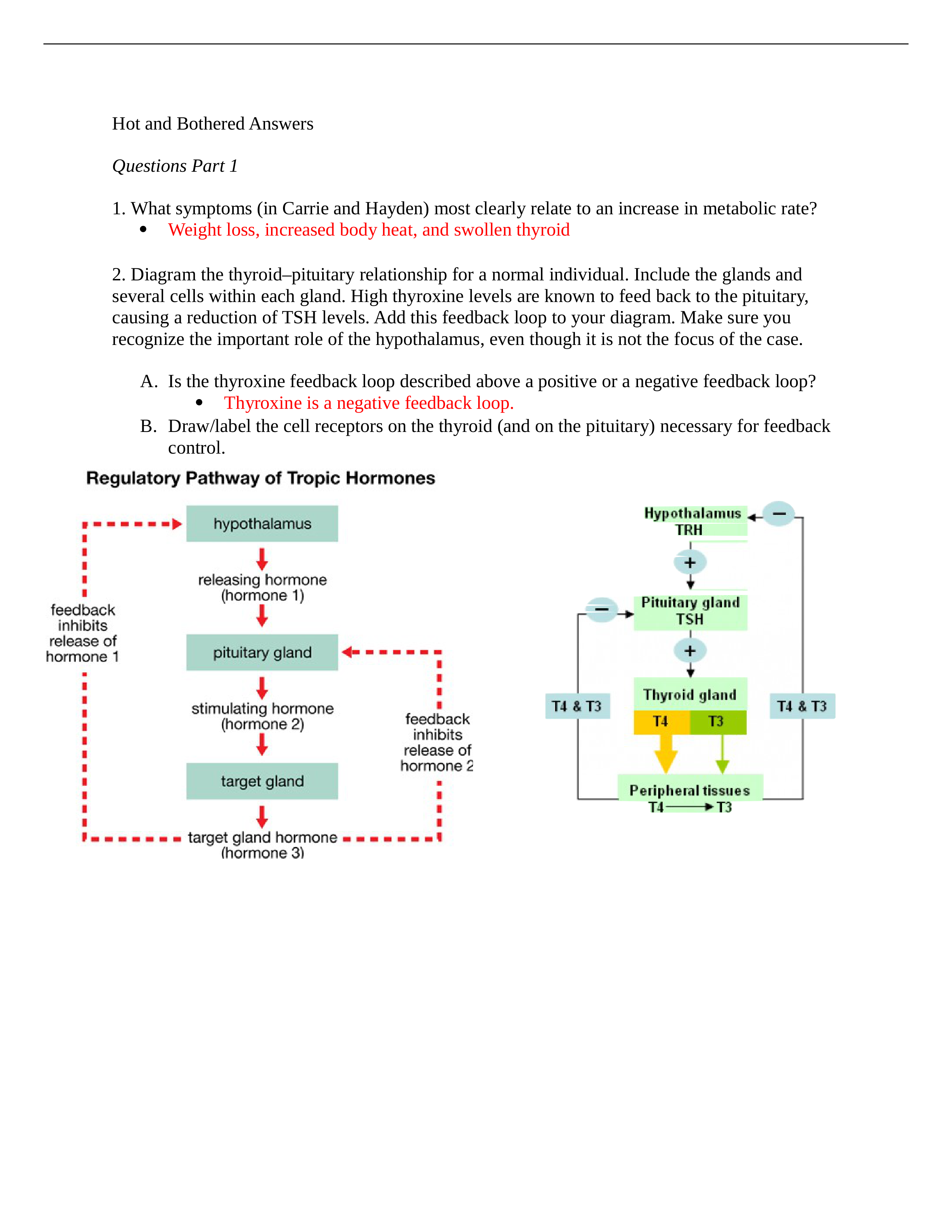 hot and bothered answers.docx_d6hdf6vqhq9_page1