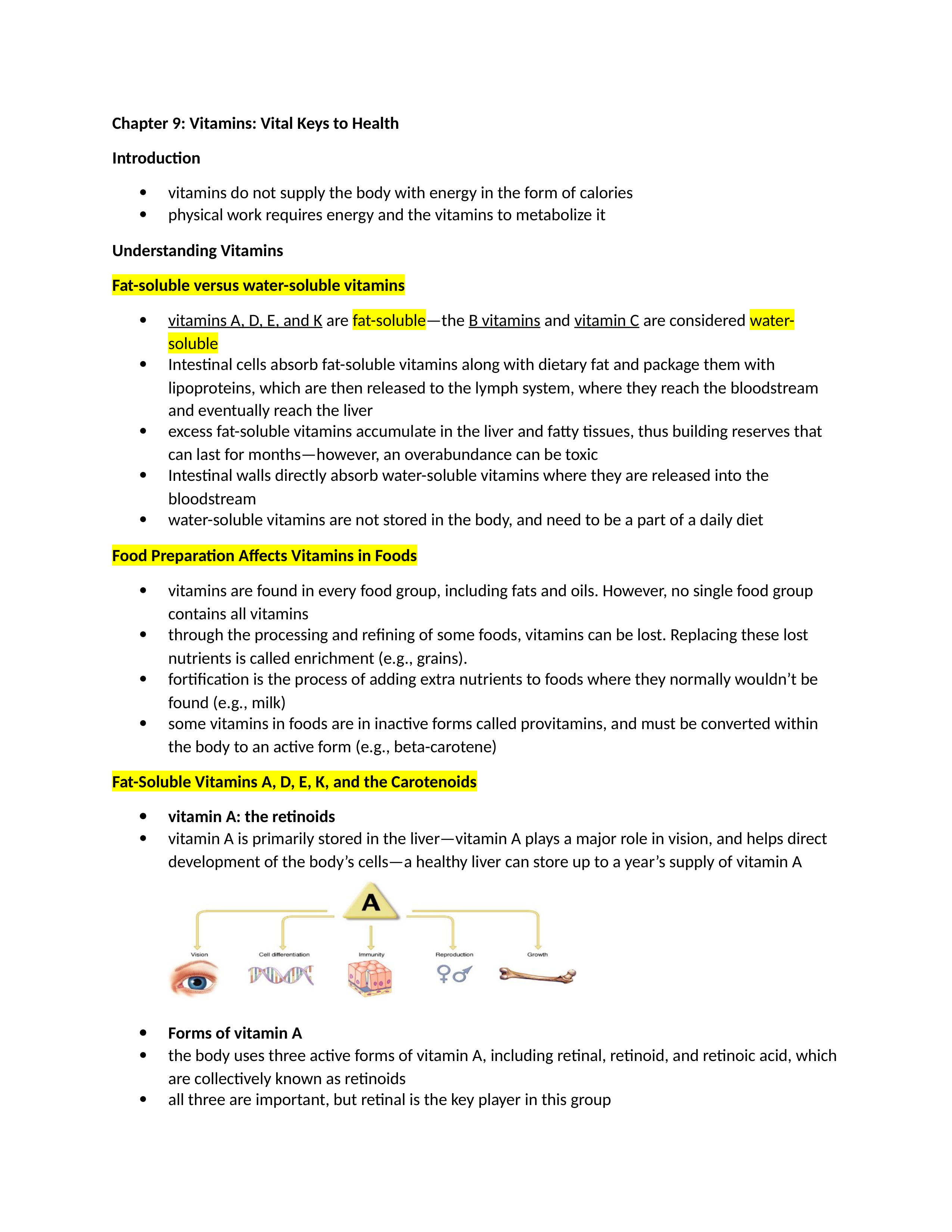 Chapter%209%20Notes%20Vitamins.docx_d6ilbkse365_page1