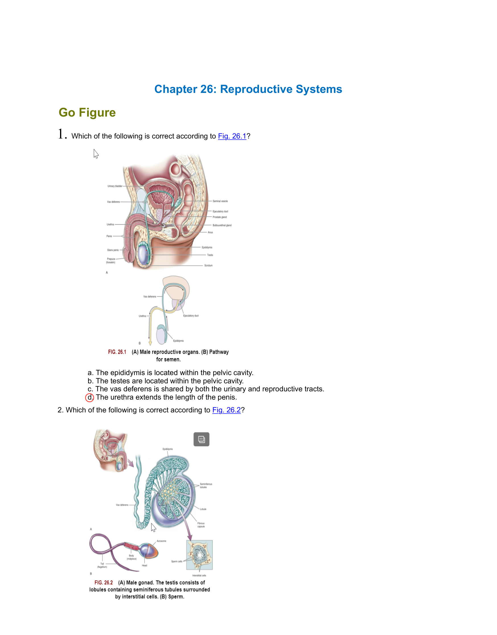 AHP106_Wk6_Assignment+.pdf_d6lrryxsdsd_page1