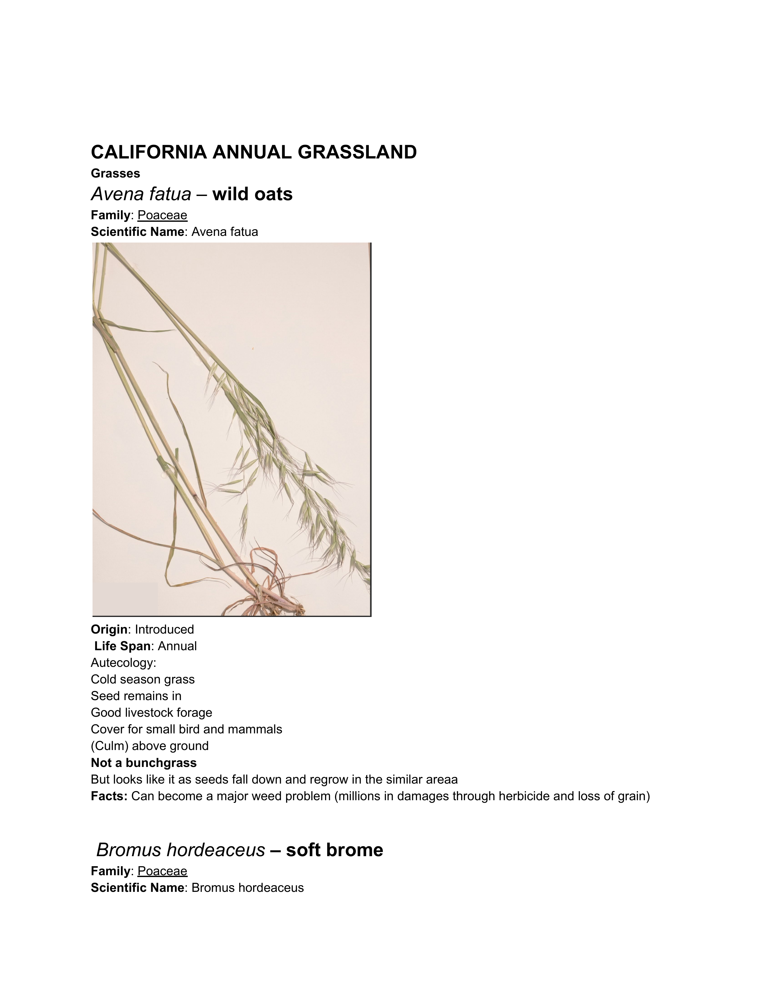 Wildland Plant study guide copy.pdf_d6nw05c6j87_page1