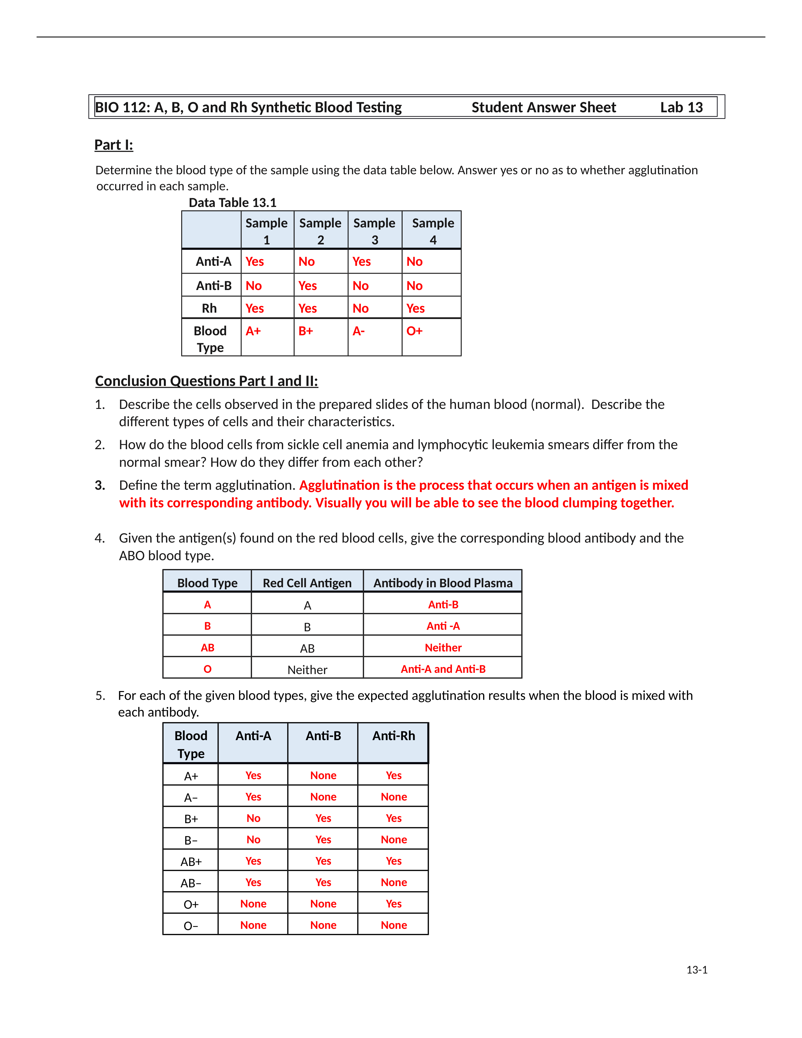 ABOBlood AnsrshtLab13 (1).docx_d6r0p7p1j03_page1