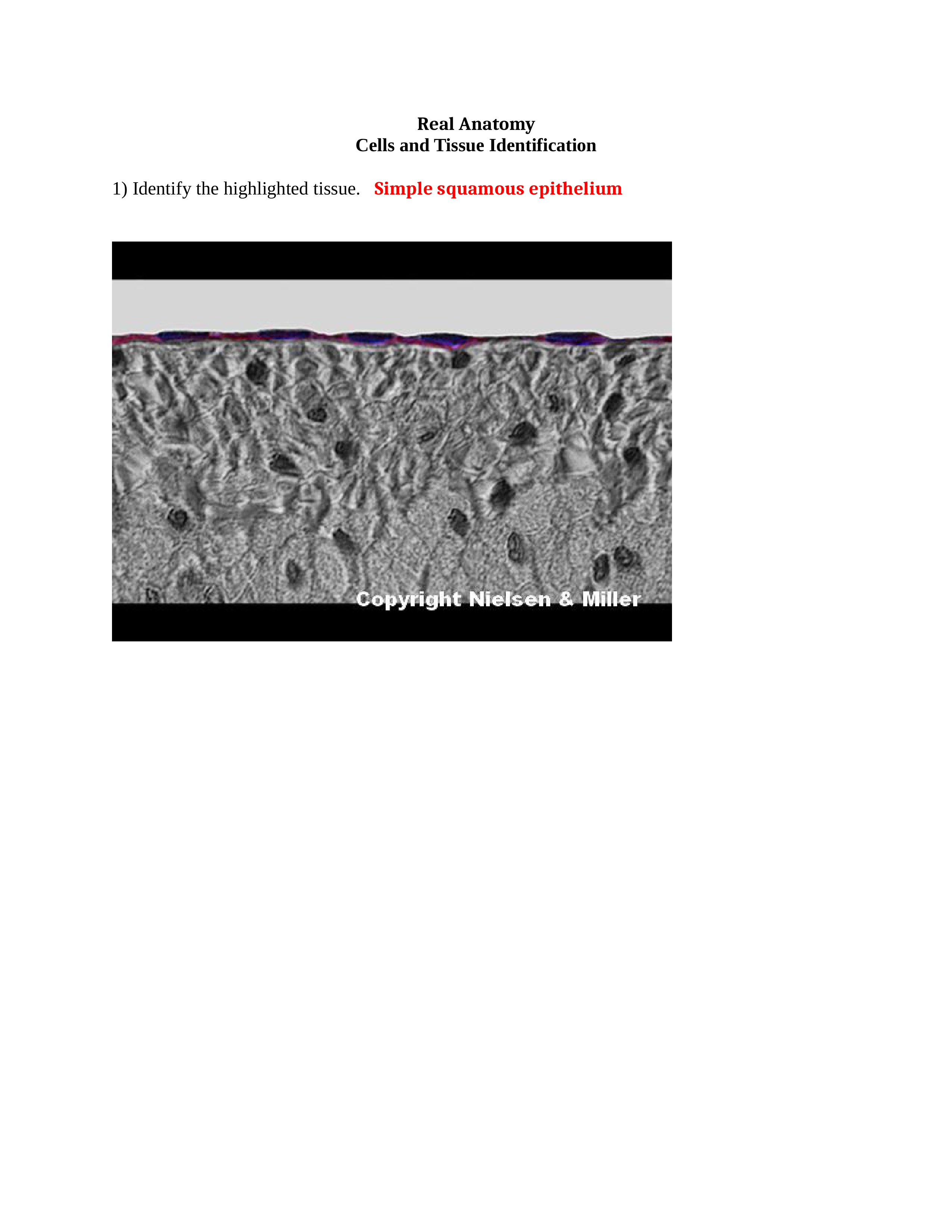 01_cell_and_tissue_identification_.docx_d7dpih5gjyx_page1