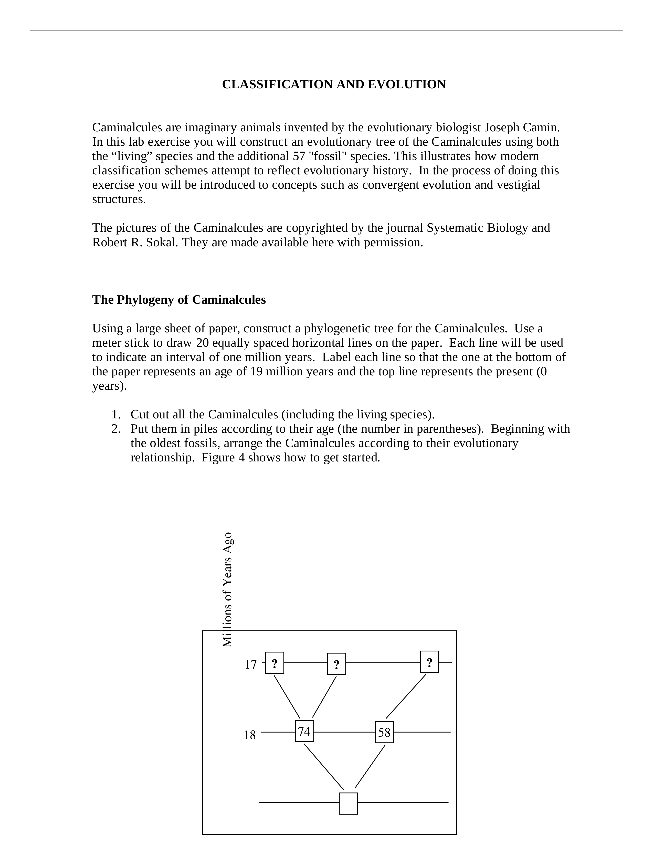 Phylogeny of Caminalcules_d7fofnufxvd_page1