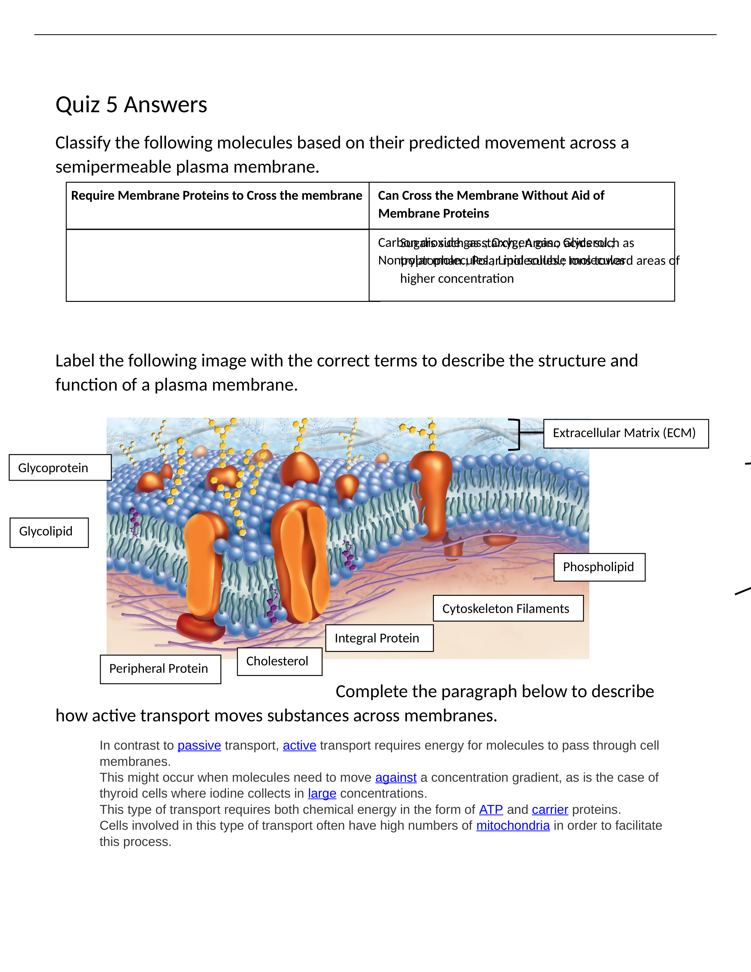 Chapter 5 Quiz.docx_d817ckymhgp_page1