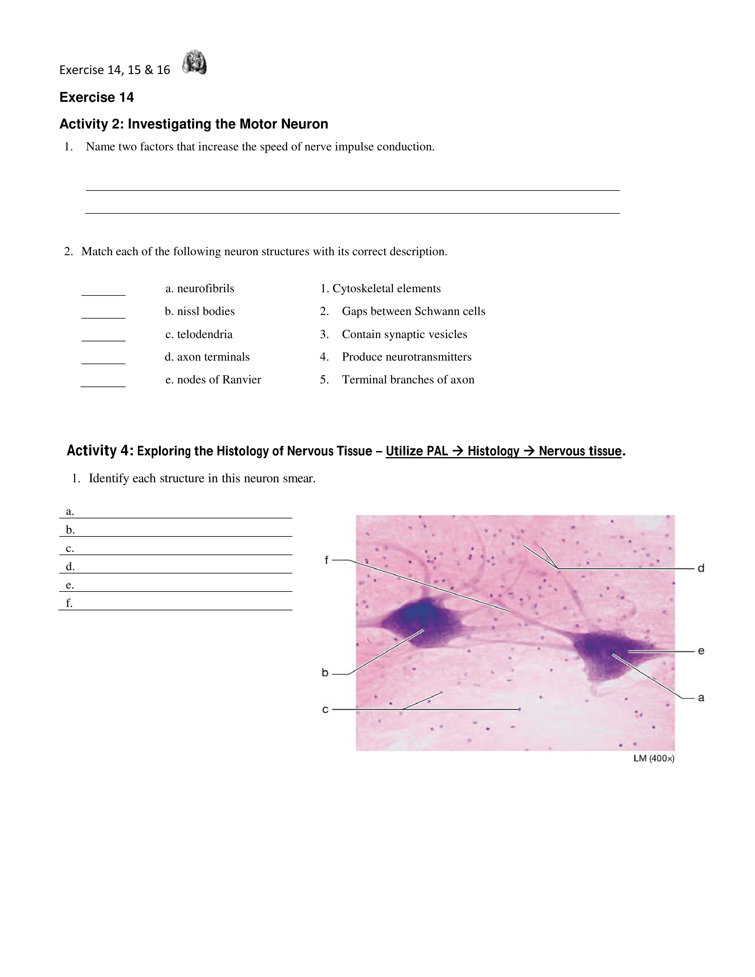 8. Unit 8 laboratory exercise 14, 15, & 16 EDIT.pdf_d8ksyxdfec8_page1