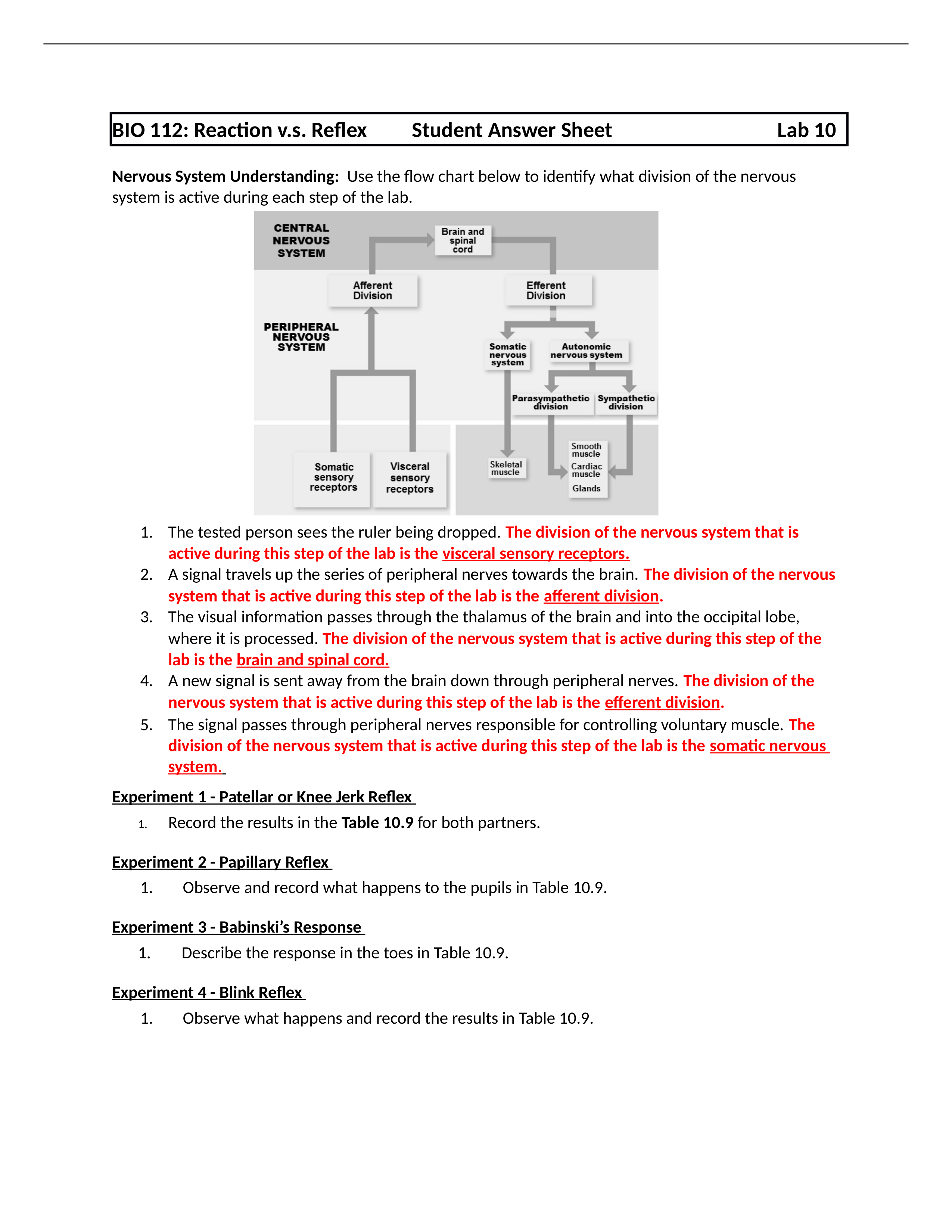 Lab 10 Rxn vs ReflexStudAnswrSht (1).docx_d8nbychlyqu_page1