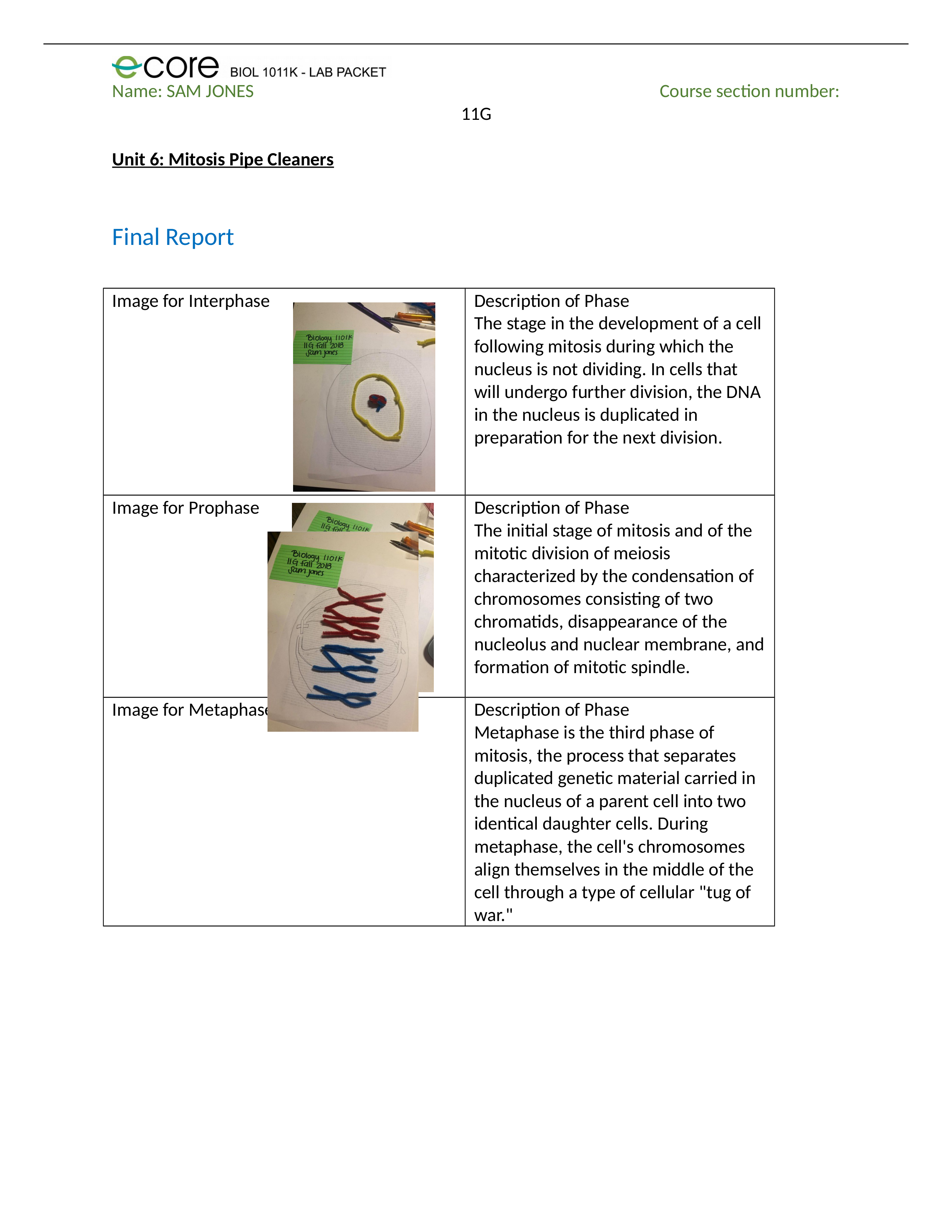 Jones_Unit6_FinalReport.docx_d8old828tcz_page1