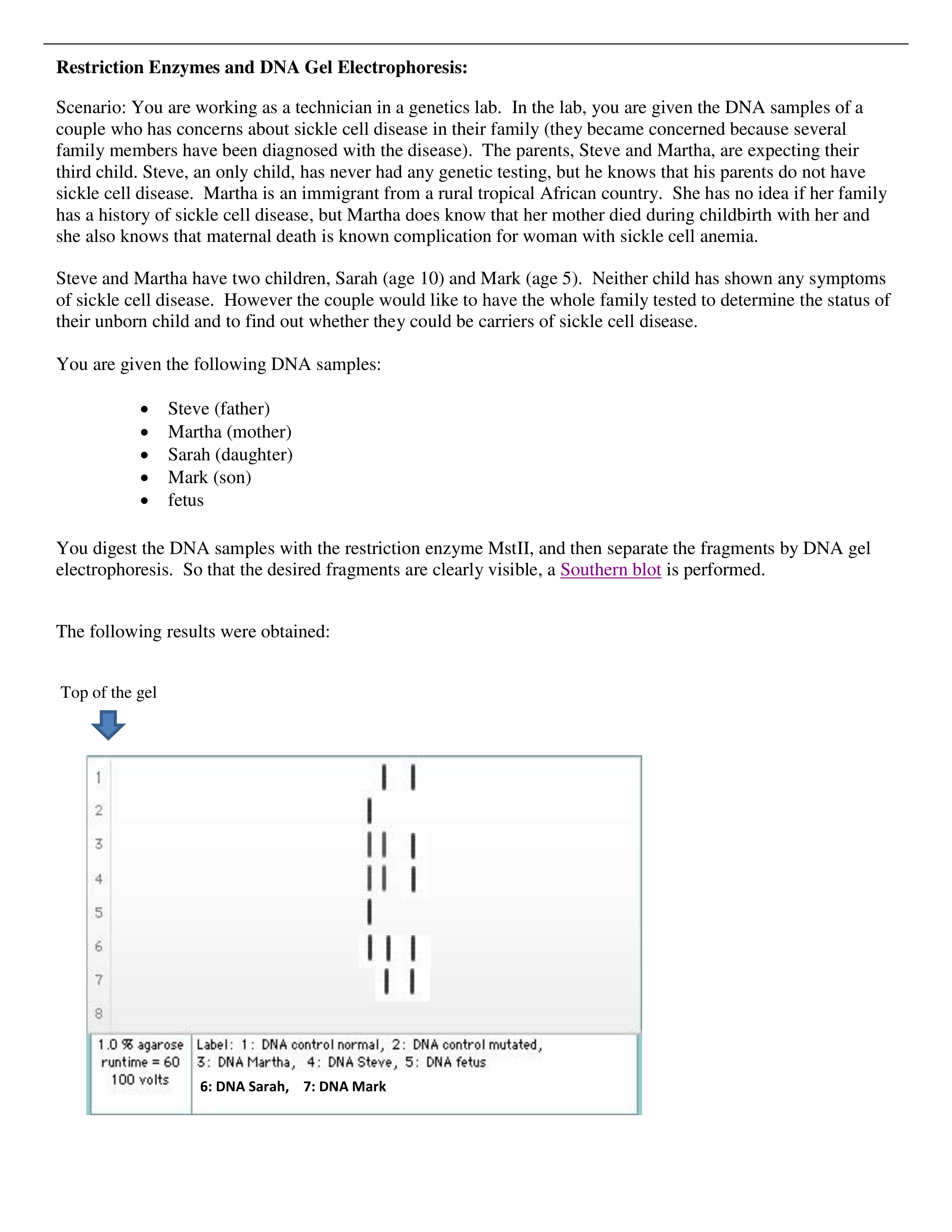 Week 1 - Restriction Enzymes and DNA Gel Electrophoresis Case Study.pdf_d8pc87wlug4_page1