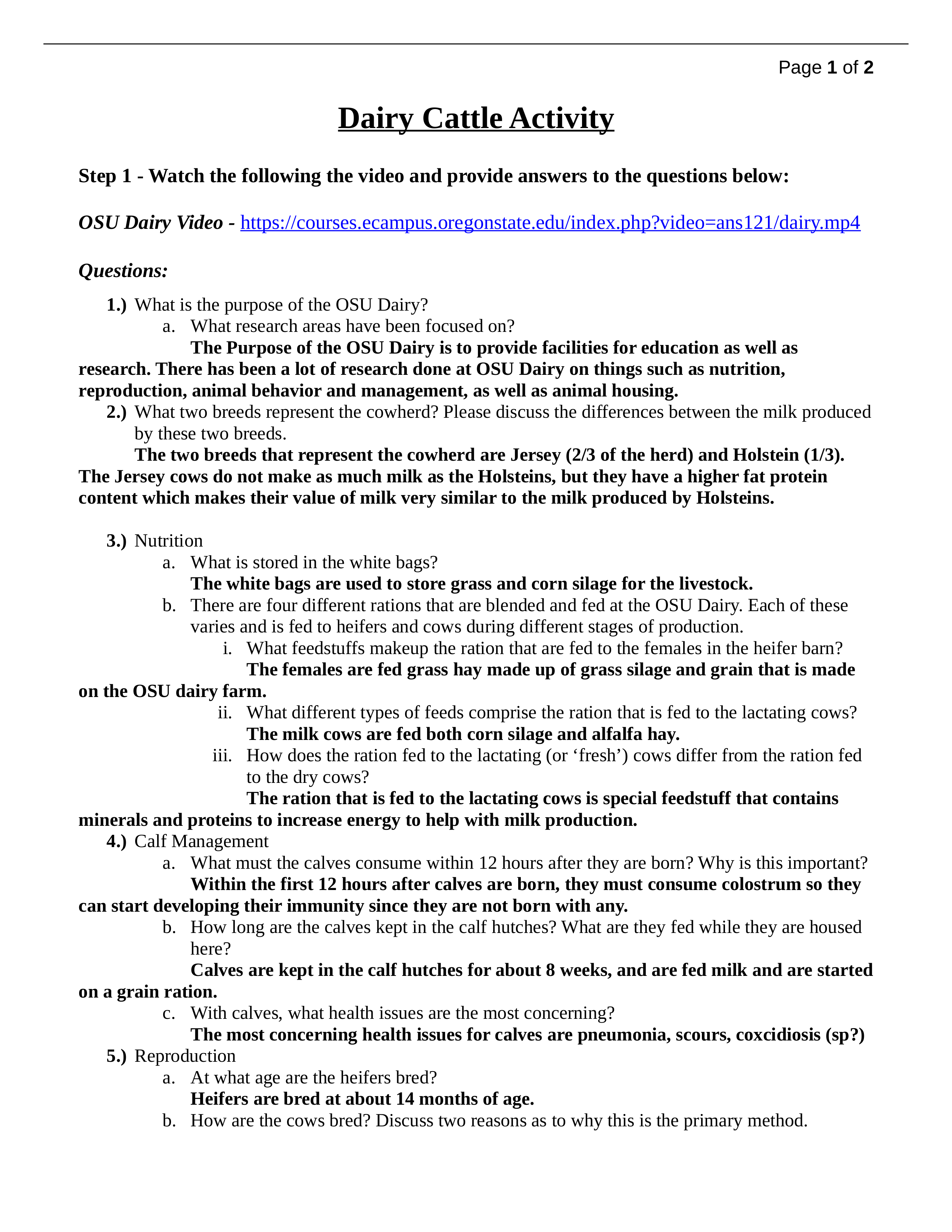 Dairy Activity_d8q80cbeopa_page1