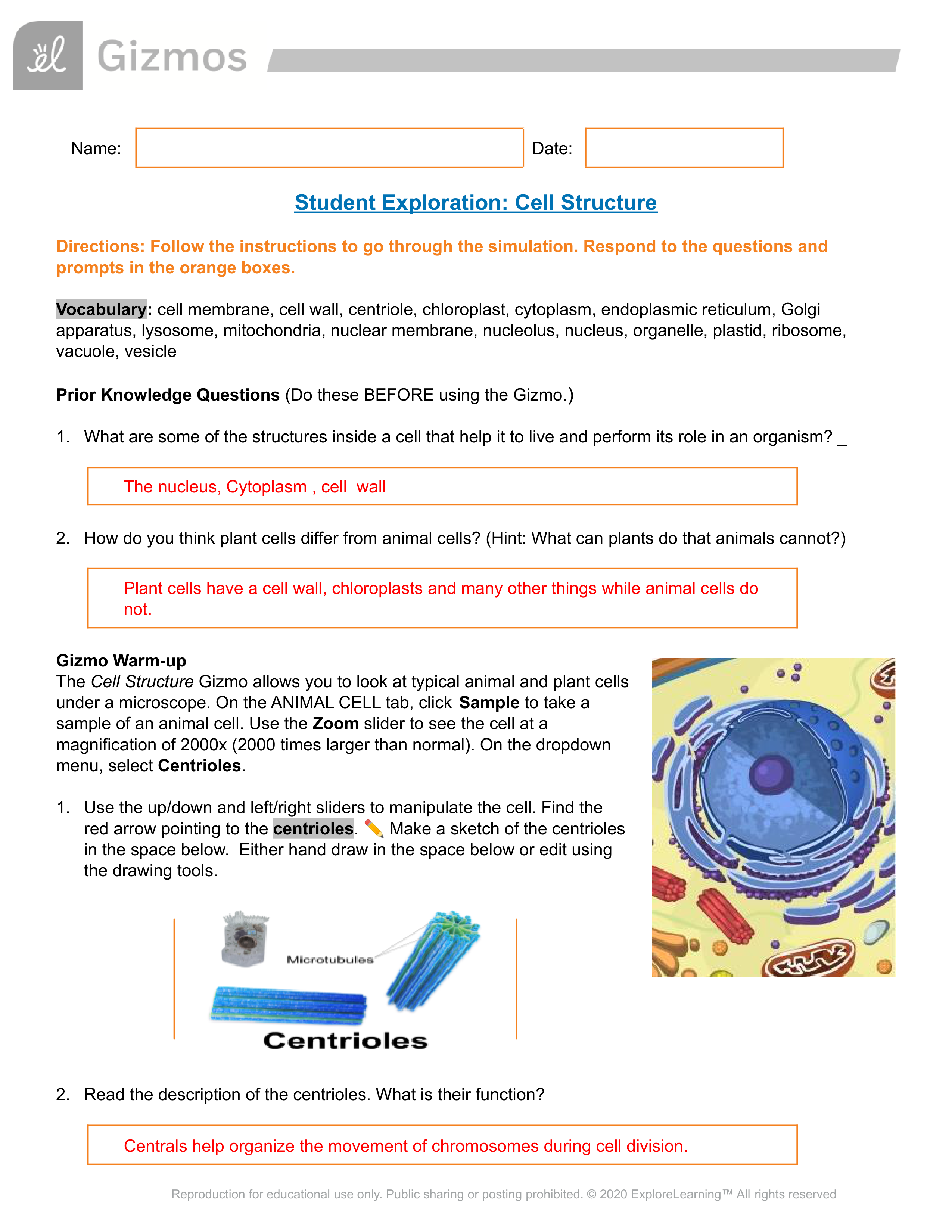 cell structure gizmo Lab Worksheet .pdf_d8s2ndm9vnu_page1