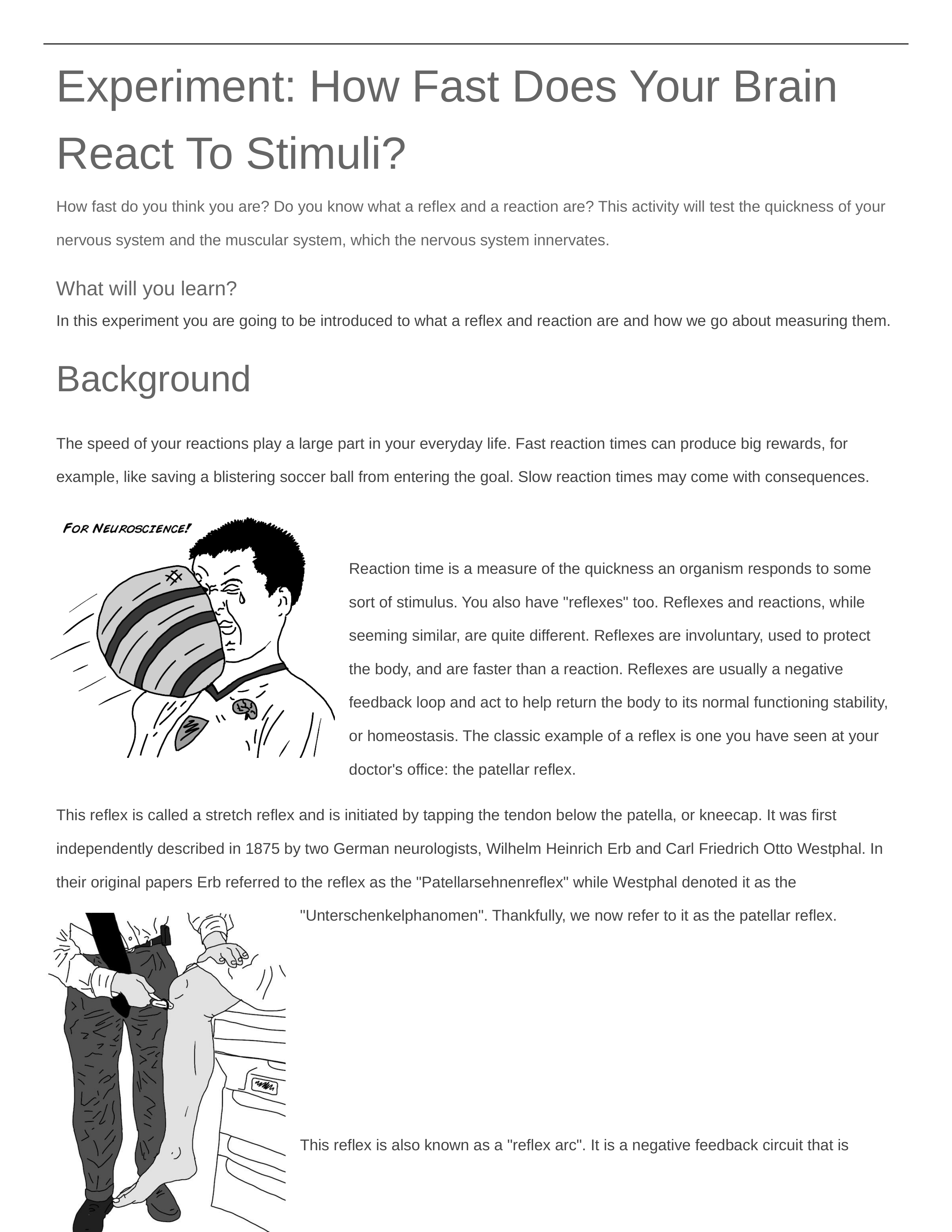 Isabella Marinello - 2019 CHARACTERISTICS OF LIVING THINGS: REACTION TIME LAB_d8xg1gik50z_page1