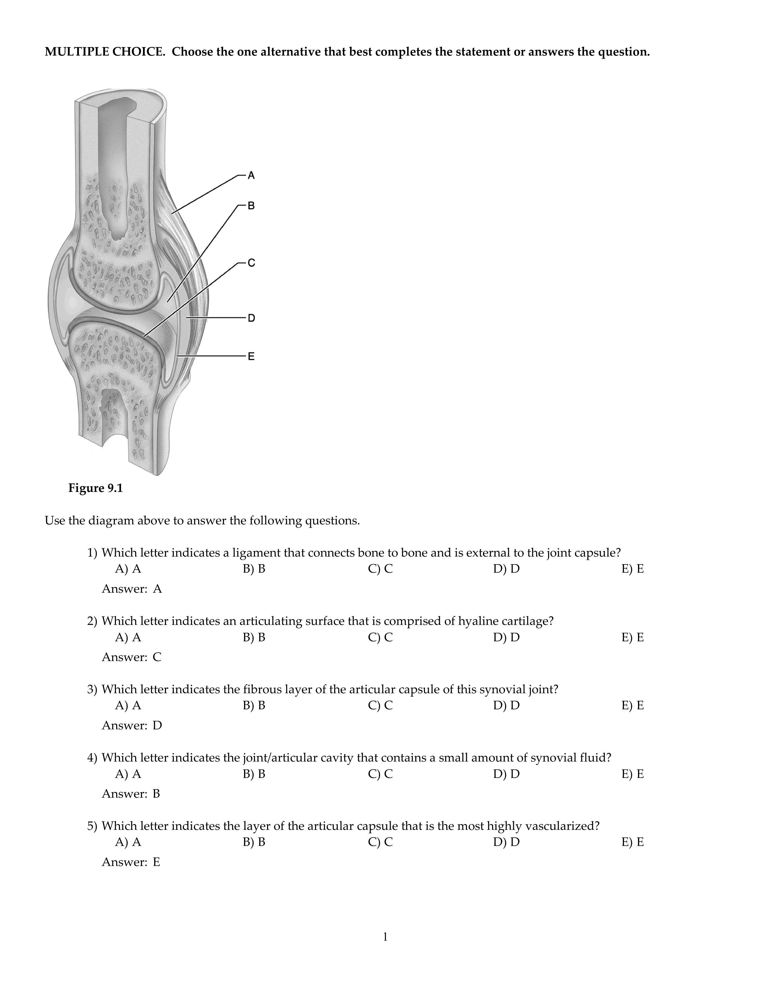 CH09.pdf_d8ysuj0vb3j_page1