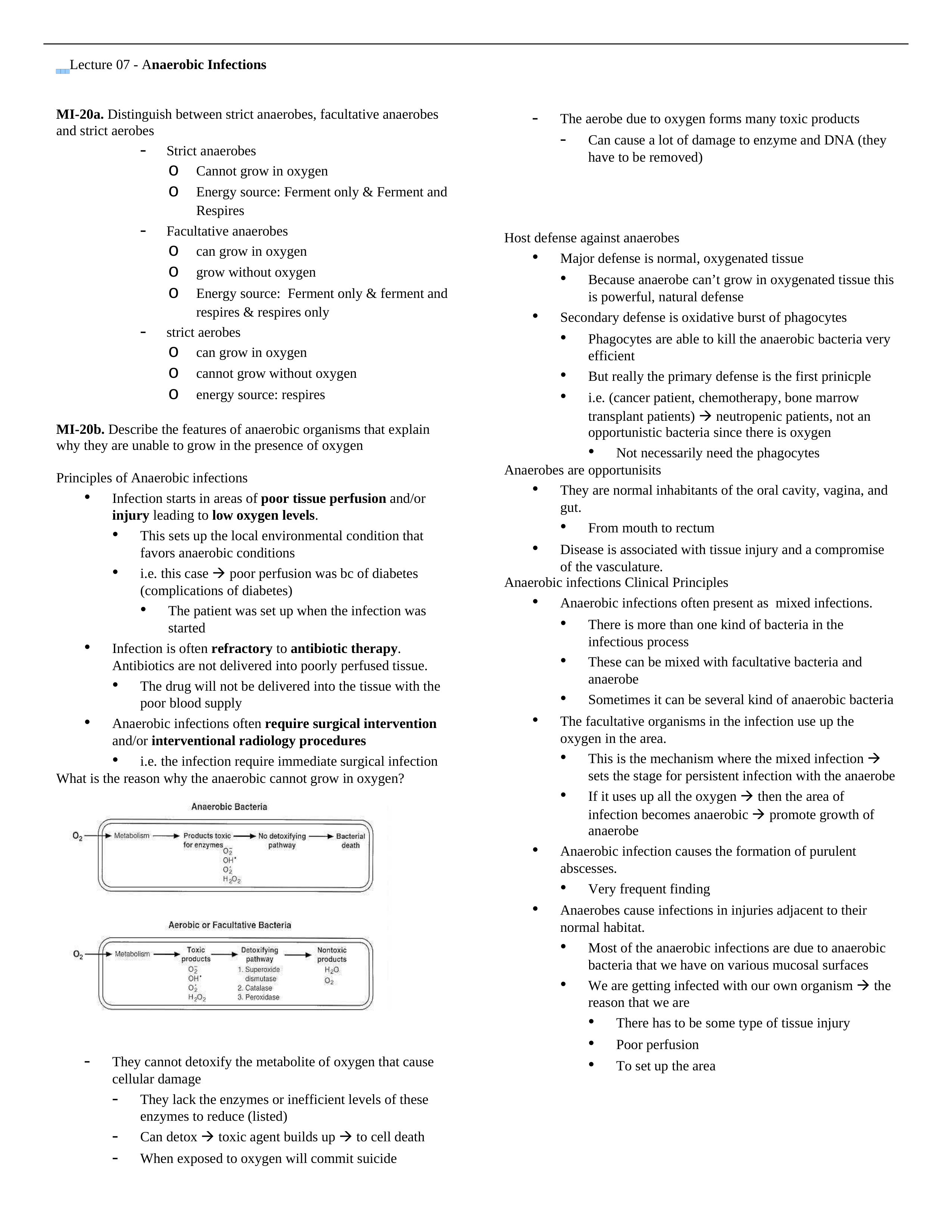 Lecture 07 - Anaerobic Infections_d96gt7itoxl_page1