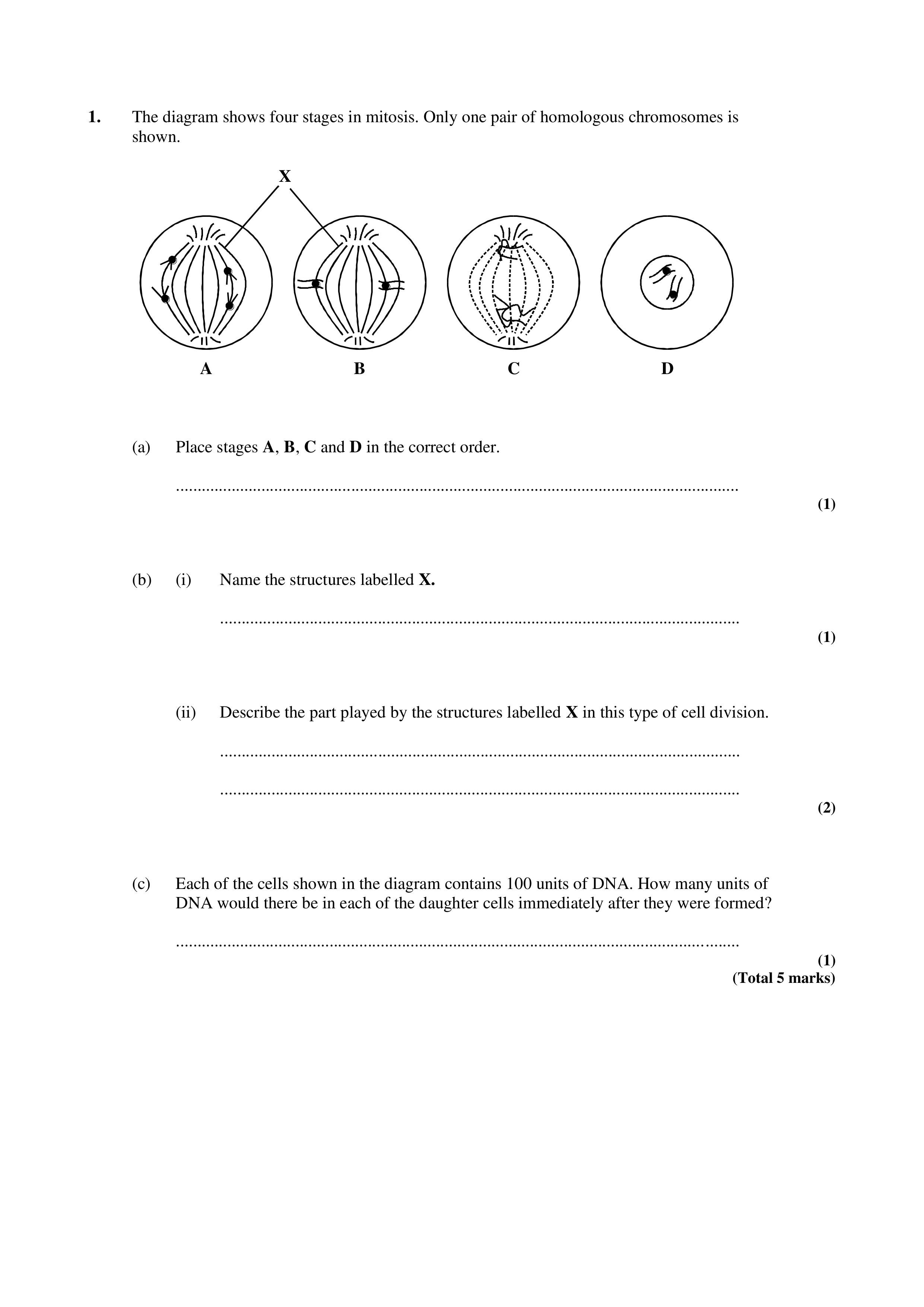 3.1_Mitosis.pdf_d9913zu6ti6_page1