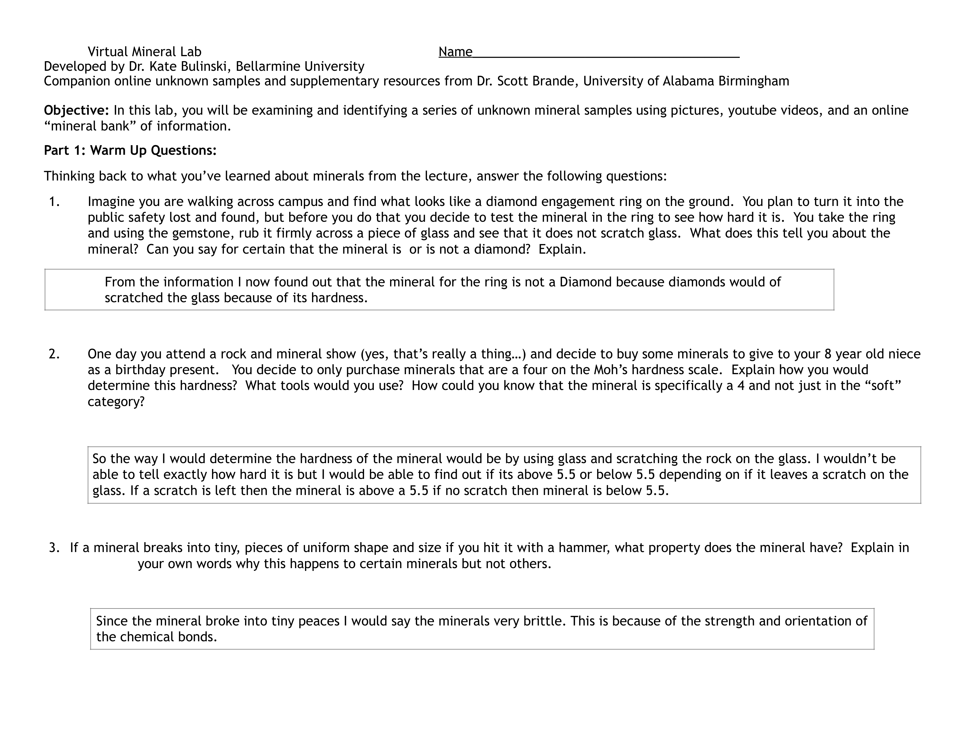 Alternative Online Mineral Lab(1).pdf_d994w2y3q1h_page1