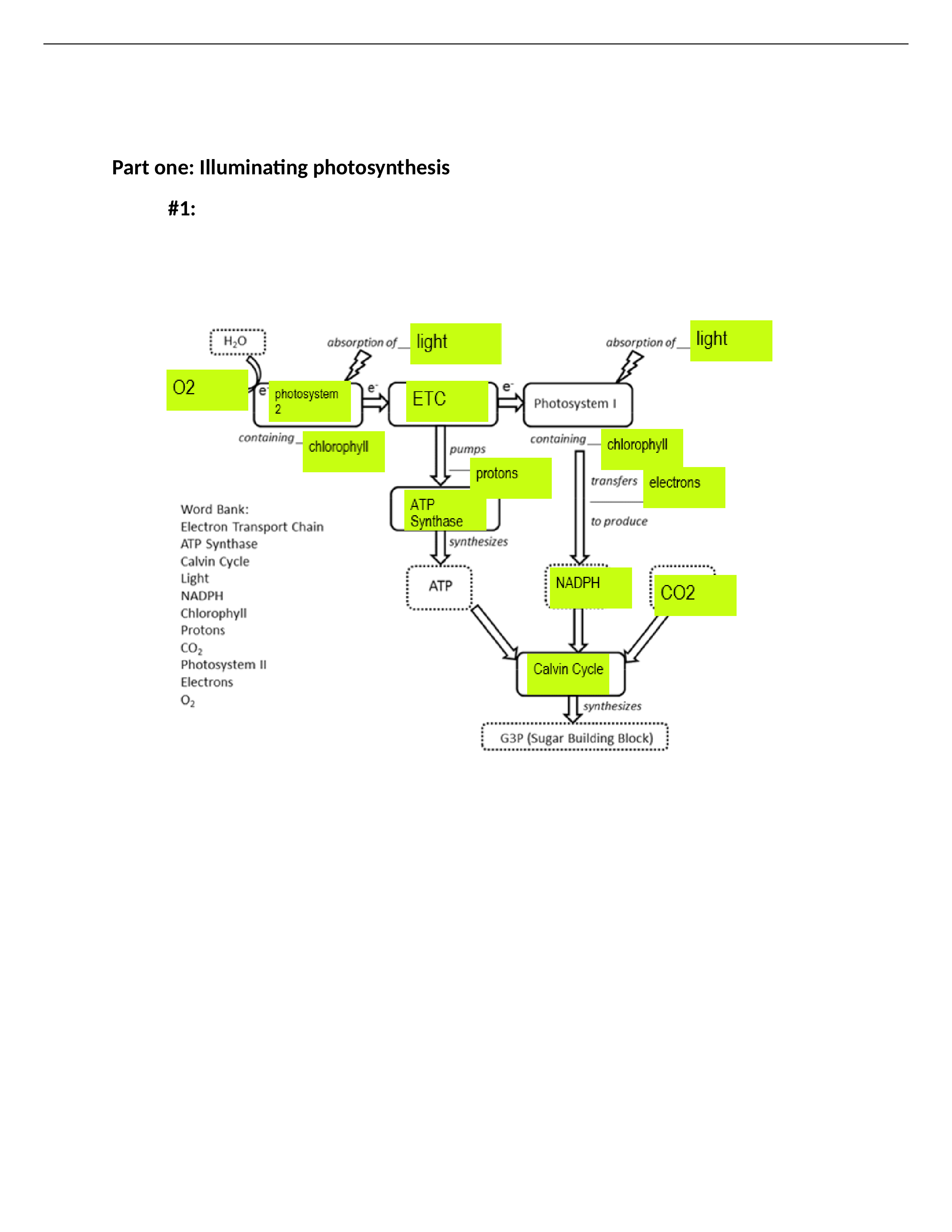 Case study 2.docx_d9effrxux6q_page1