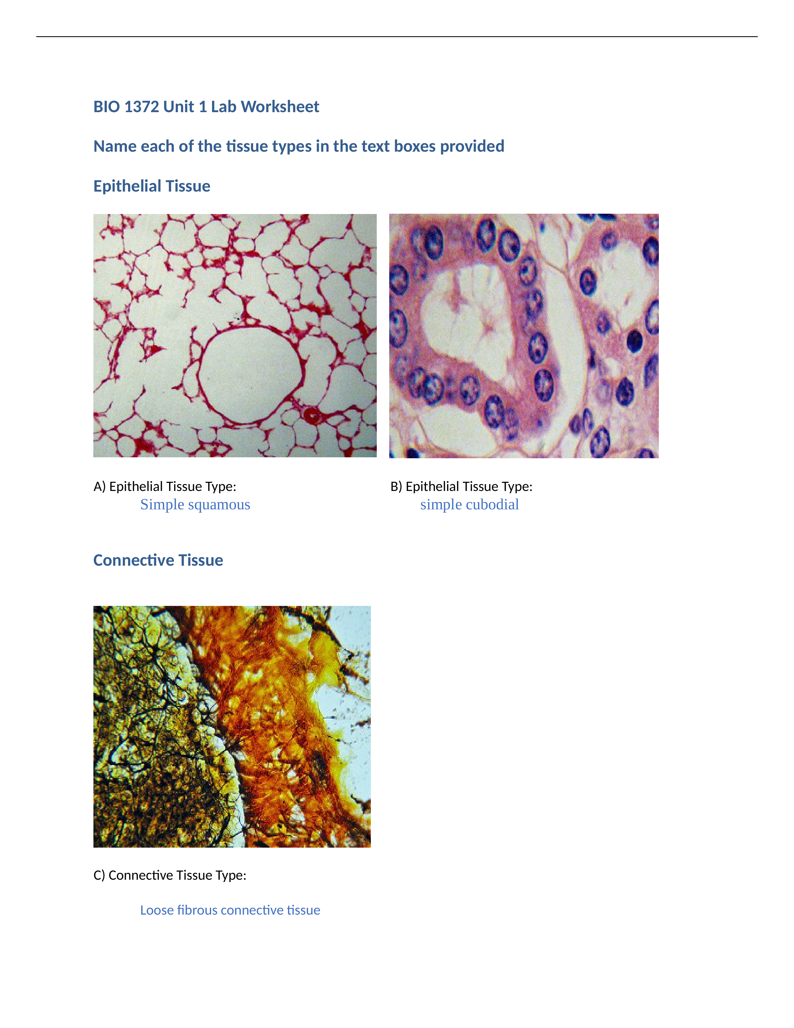 BIO 1372 Unit 1 Lab Worksheet (done).docx_d9i9d6scfzb_page1