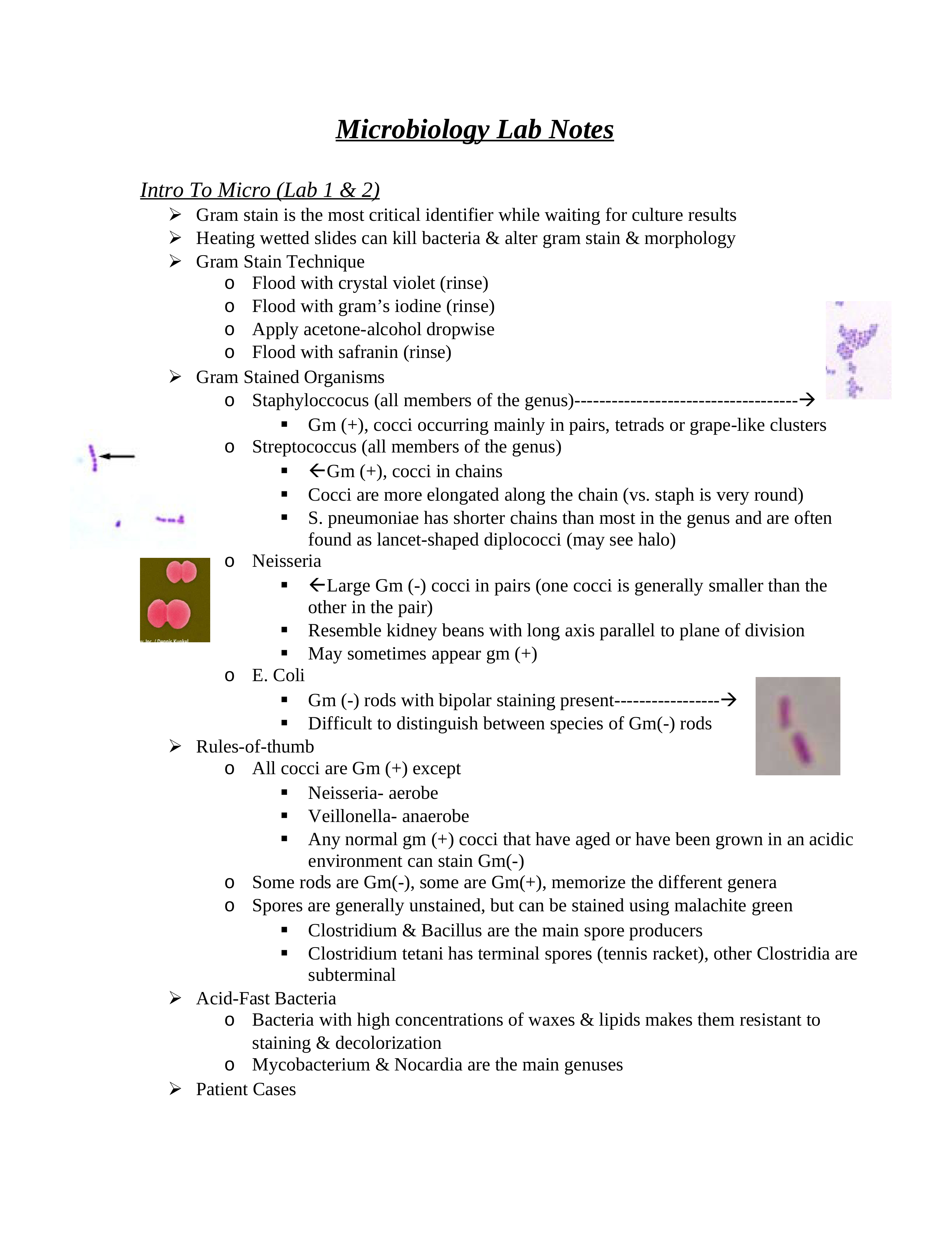 Micro Lab Notes Final_d9iv54wkcu8_page1