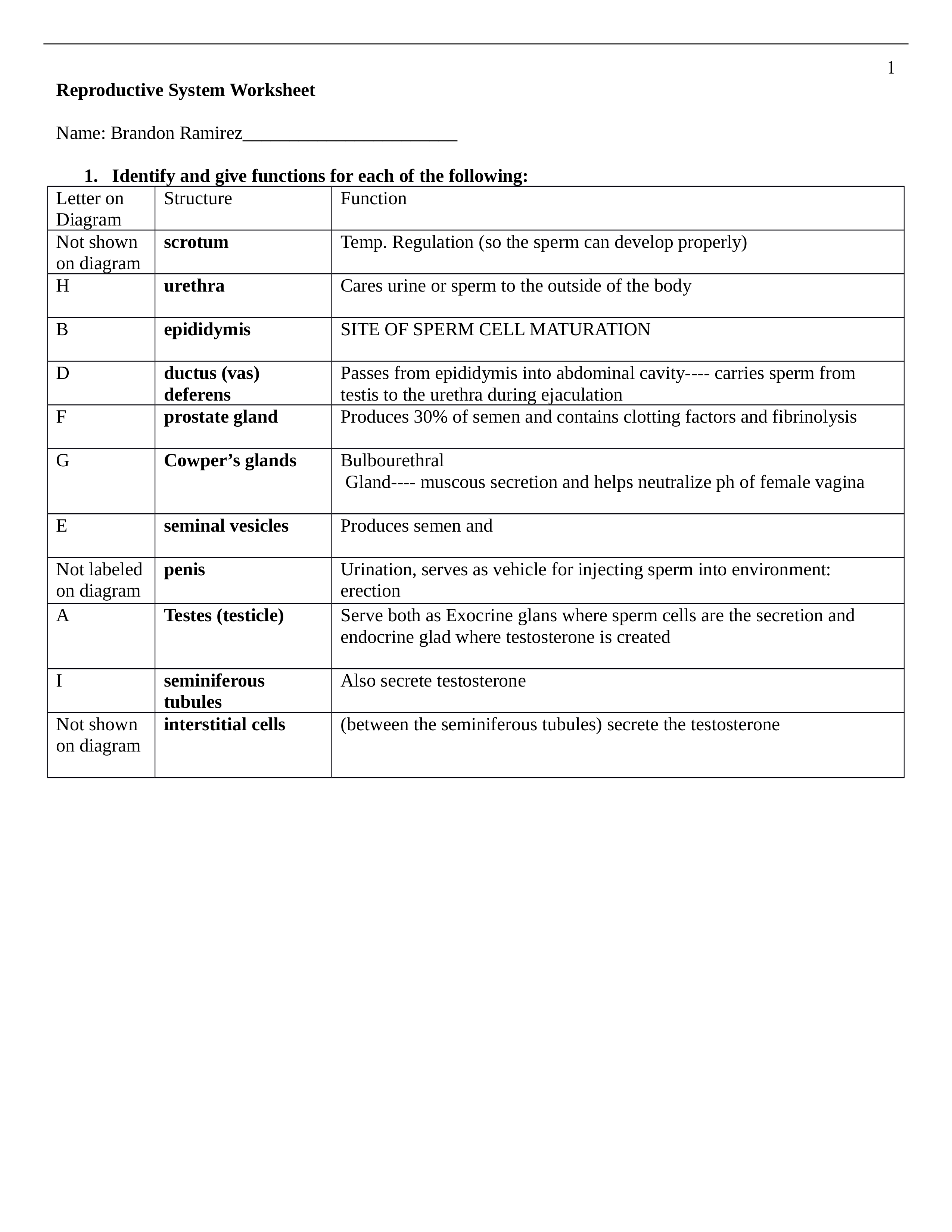 Reproductive System Worksheet_d9jw0gxlv5i_page1