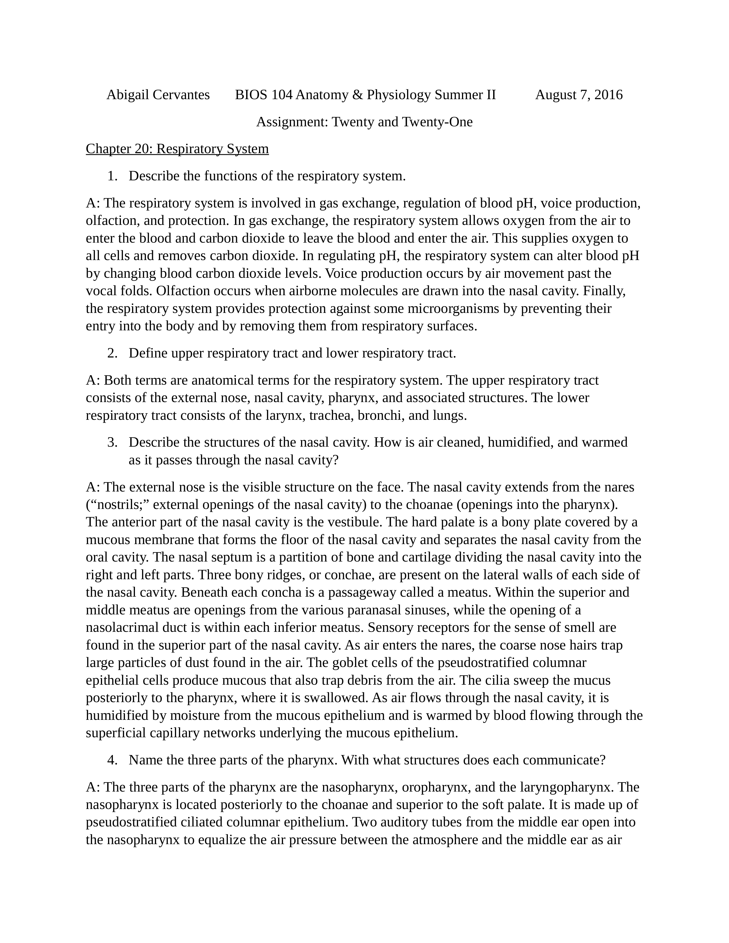 Cervantes Assignment 4_d9k0dsk4kn6_page1